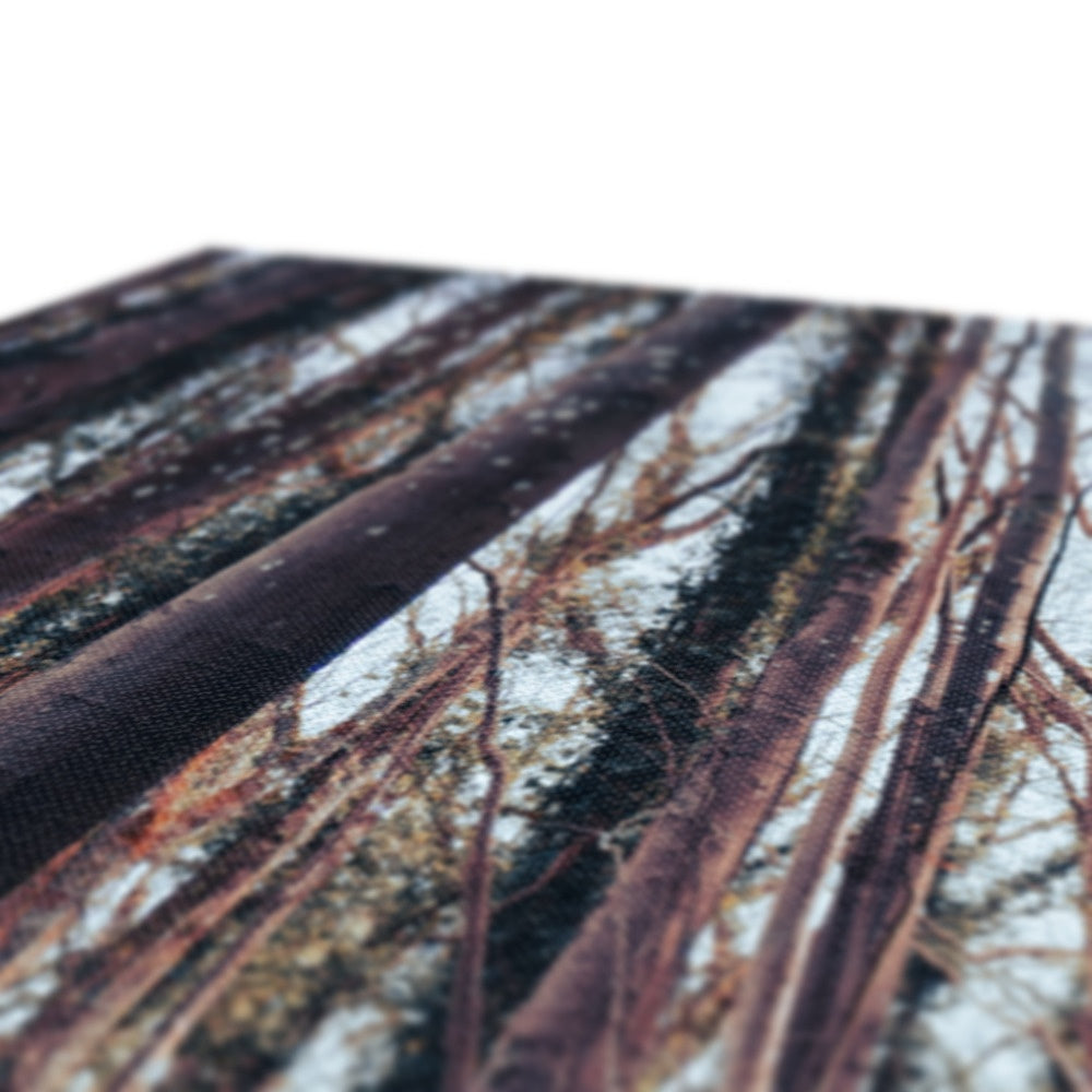 Green Escape Canvas