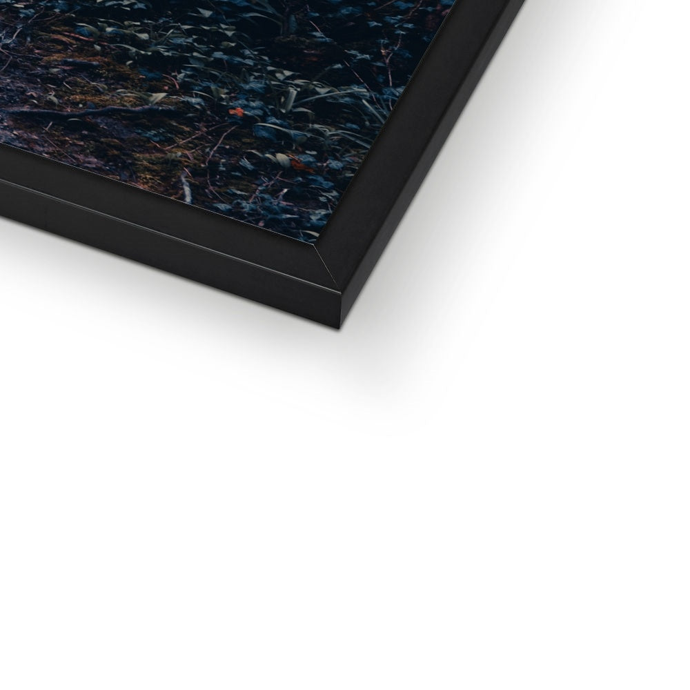 Green Escape Framed Print