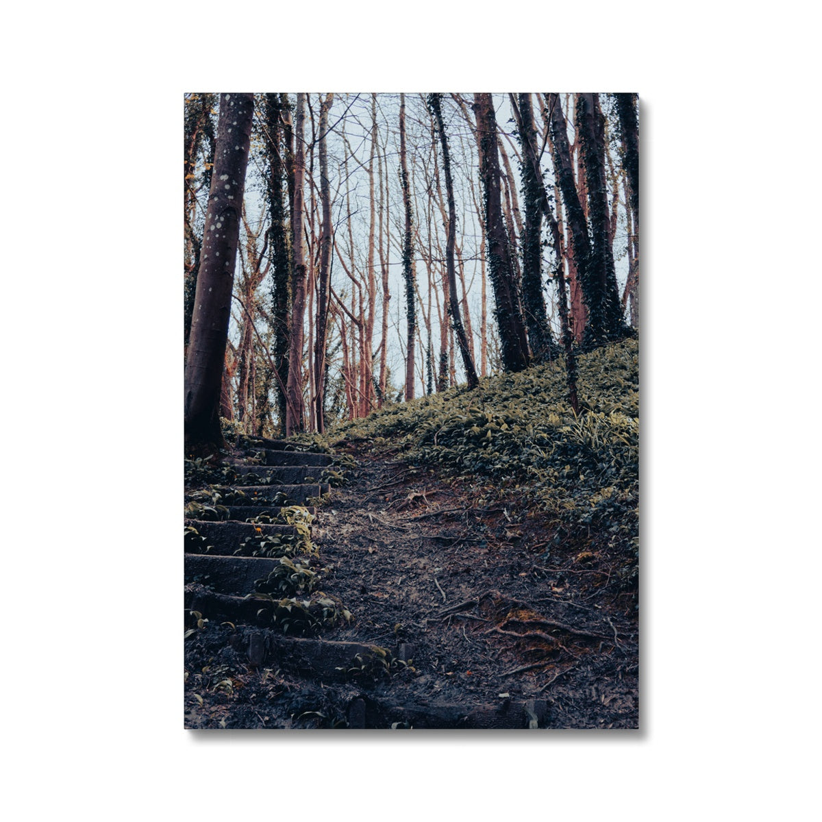 Green Escape Canvas