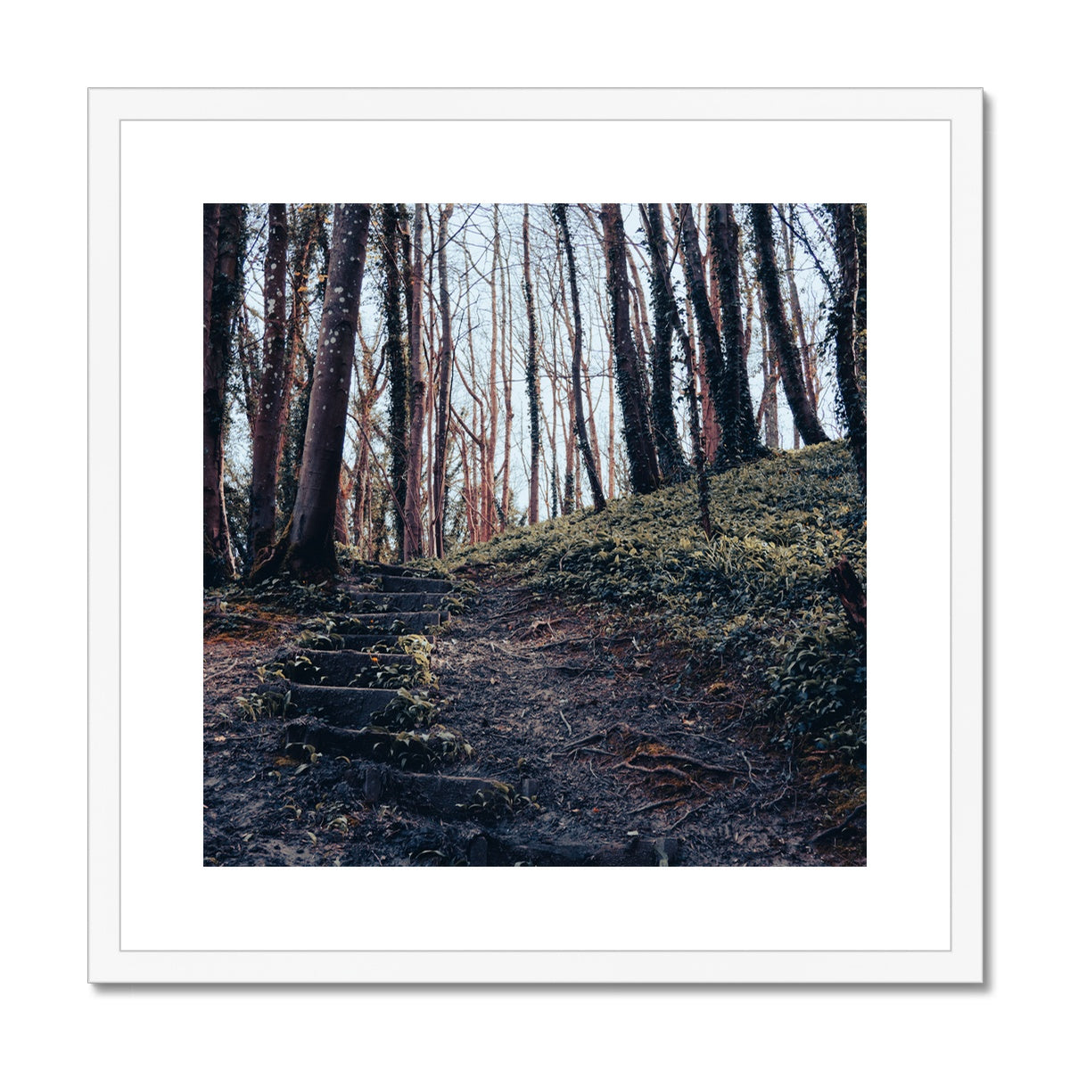 Green Escape Framed & Mounted Print