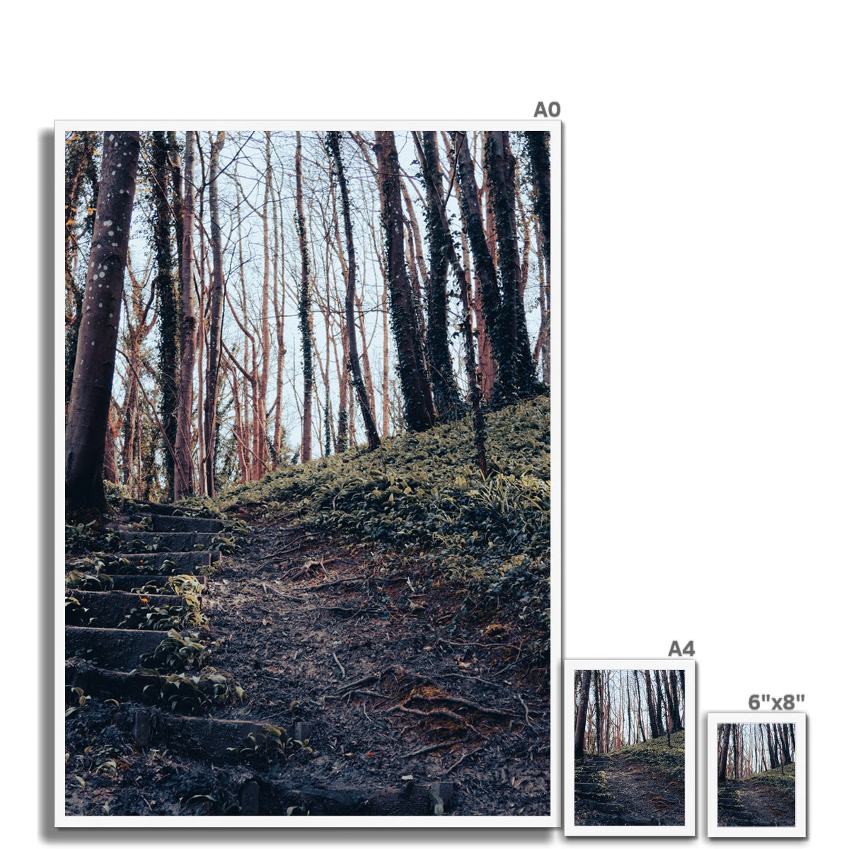 Green Escape Framed Print