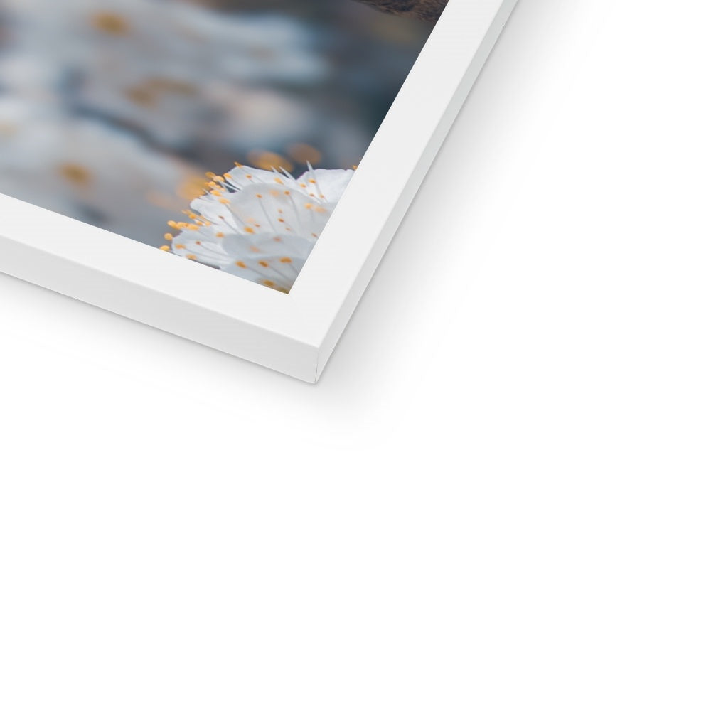 Delicate Whispers Framed Print