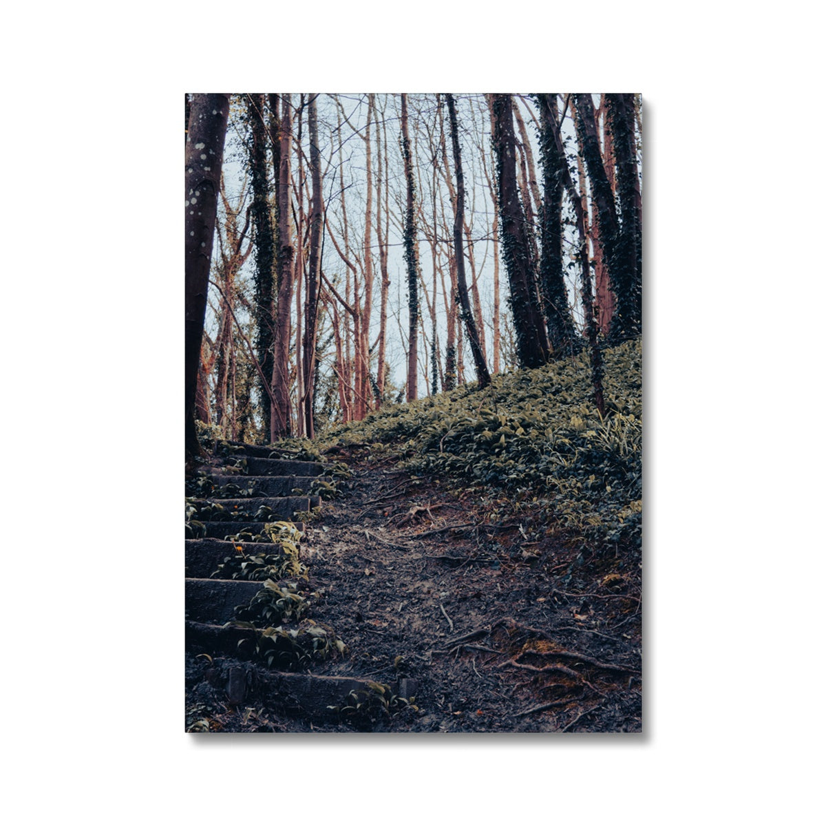 Green Escape Canvas