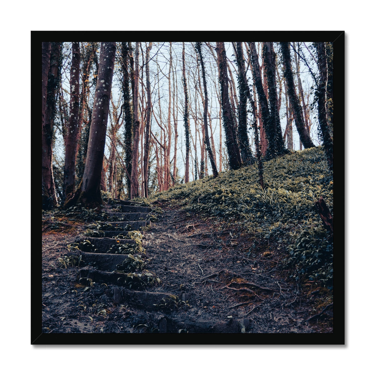 Green Escape Framed Print