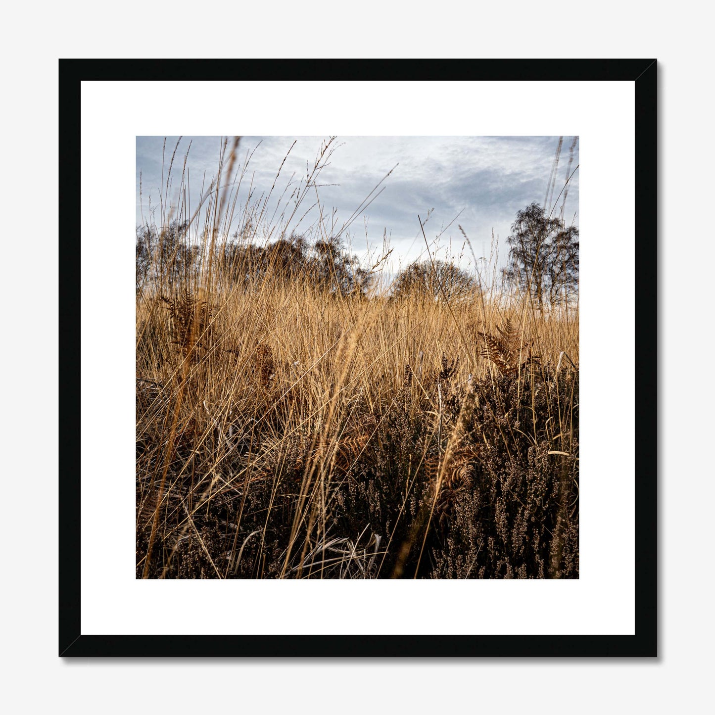 Amber Whispers Framed & Mounted Print