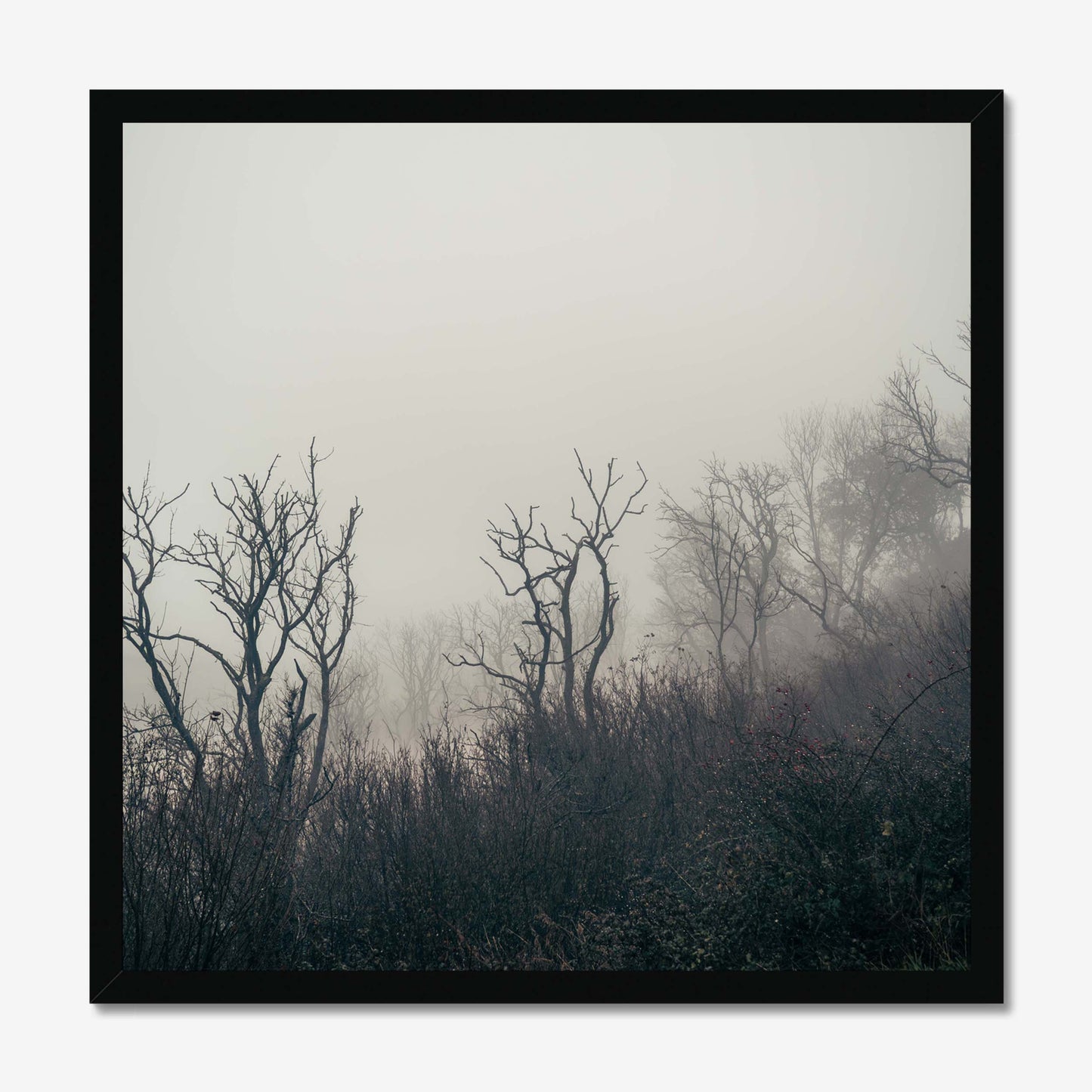 Fading Echoes Framed Print