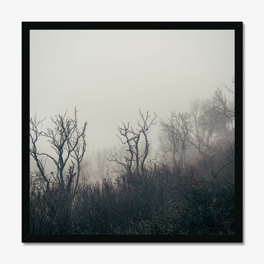 Fading Echoes Framed Print