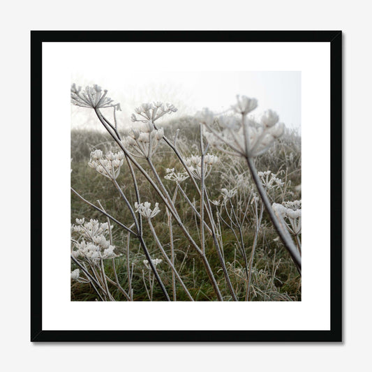 Frost Kissed Framed & Mounted Print