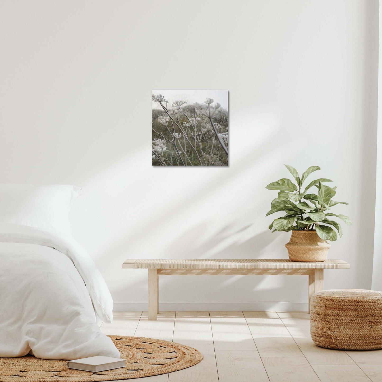 Frost Kissed Canvas