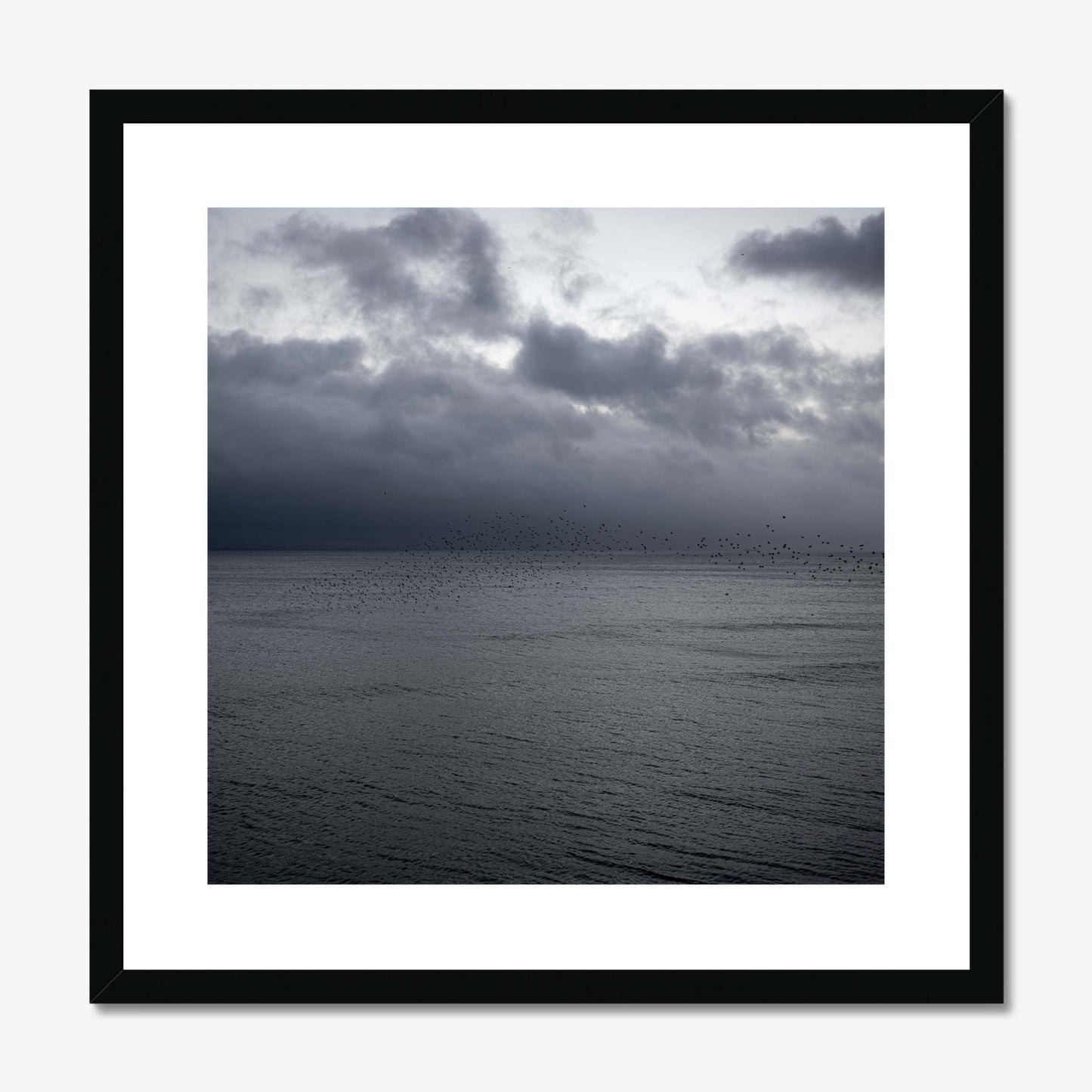 Flight of Shadows Framed & Mounted Print