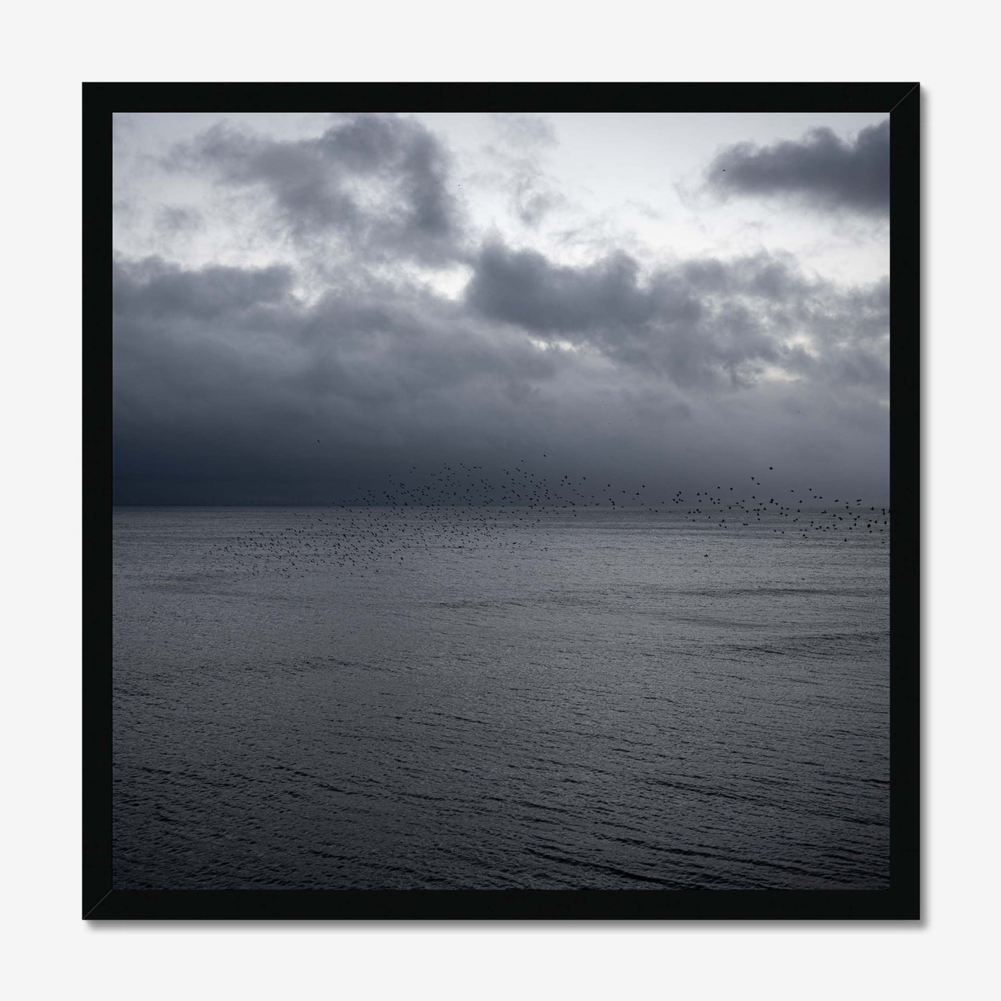 Flight of Shadows Framed Print