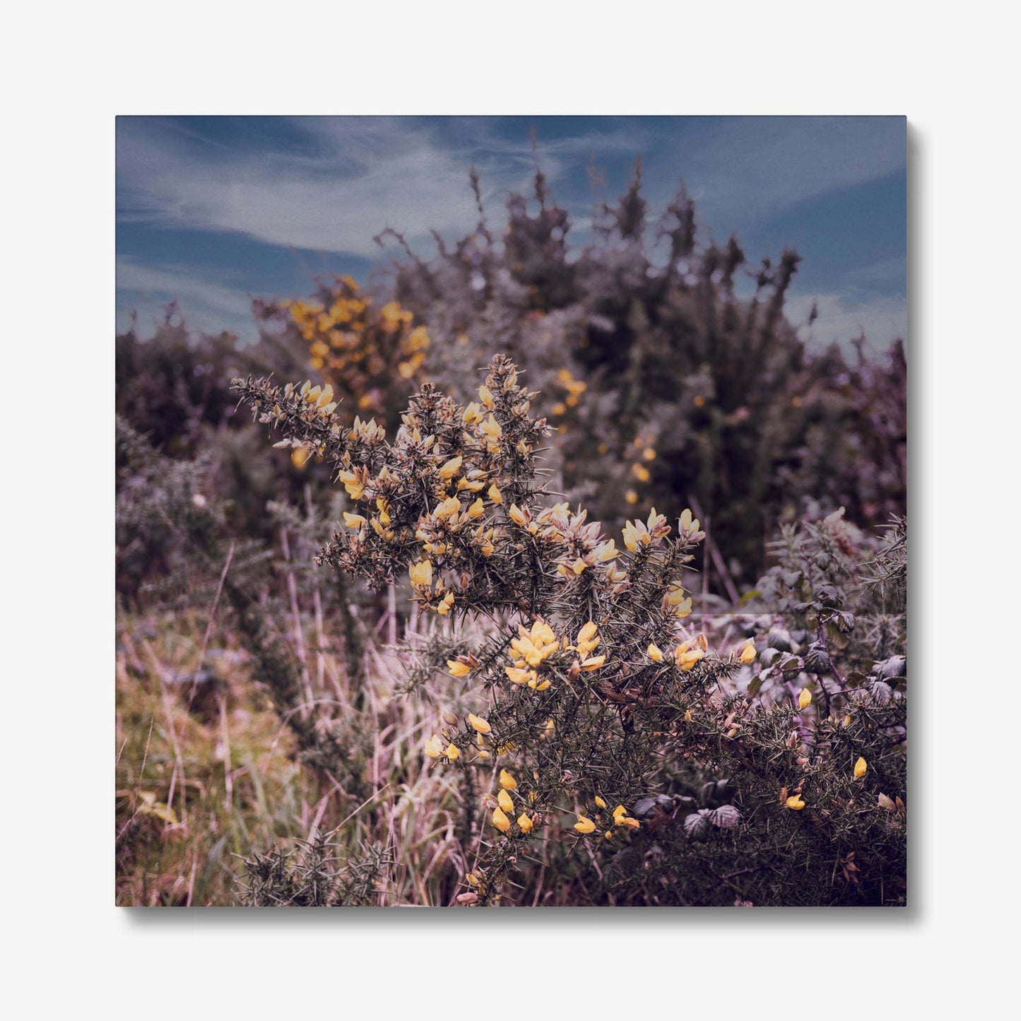 Golden Whispers Canvas