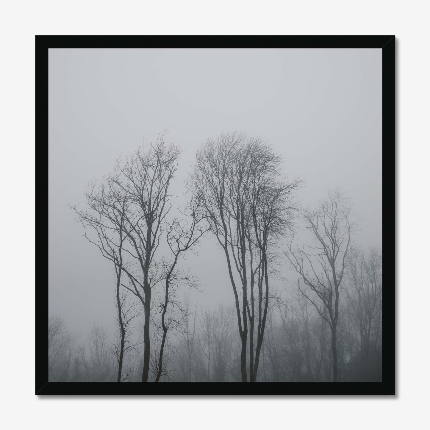 Lost in the Mist Framed Print