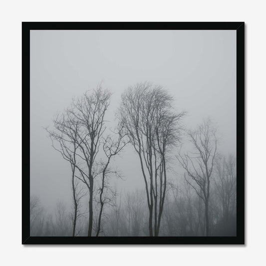 Lost in the Mist Framed Print