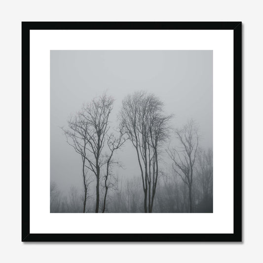 Lost in the Mist Framed & Mounted Print
