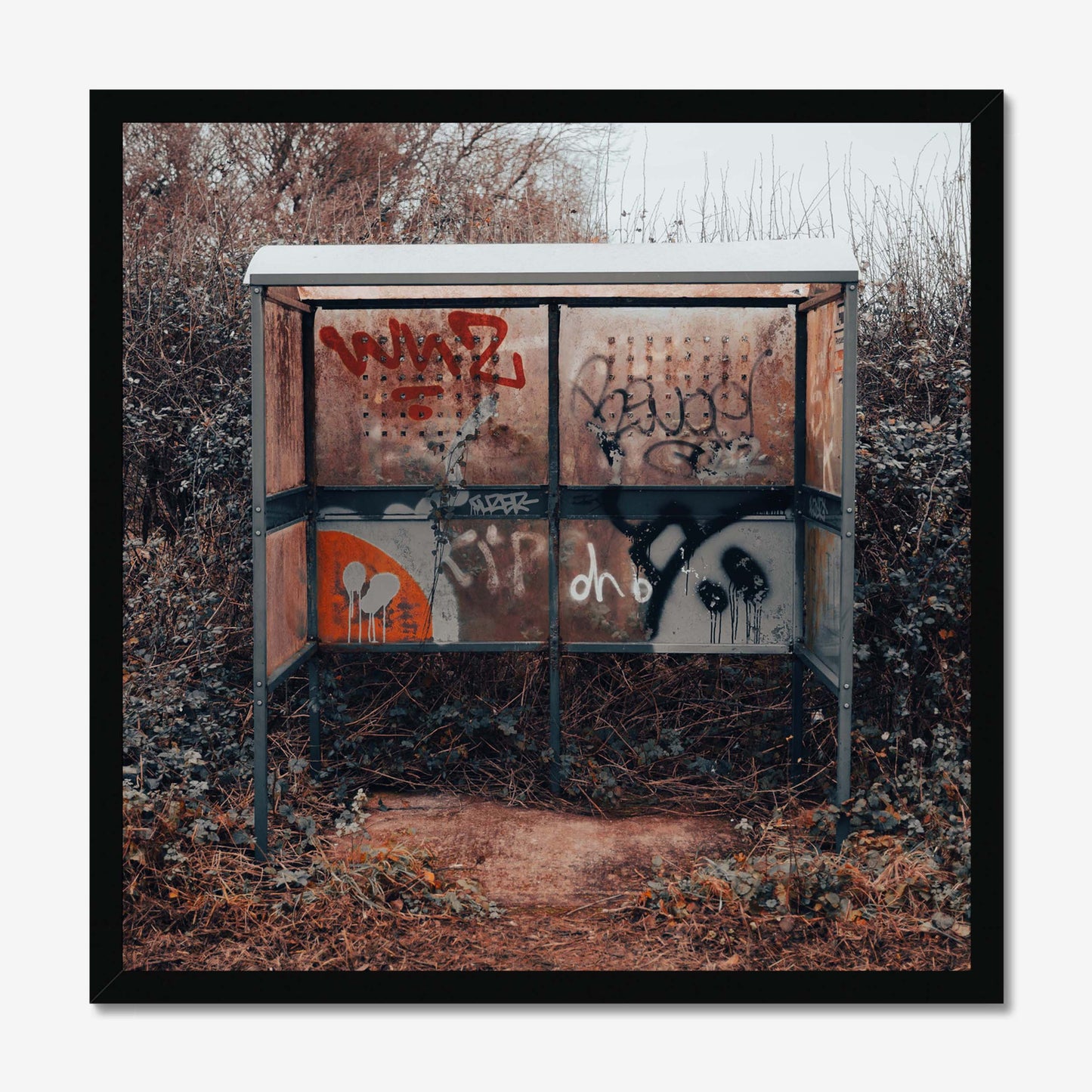 Rural Rebellion Framed Print