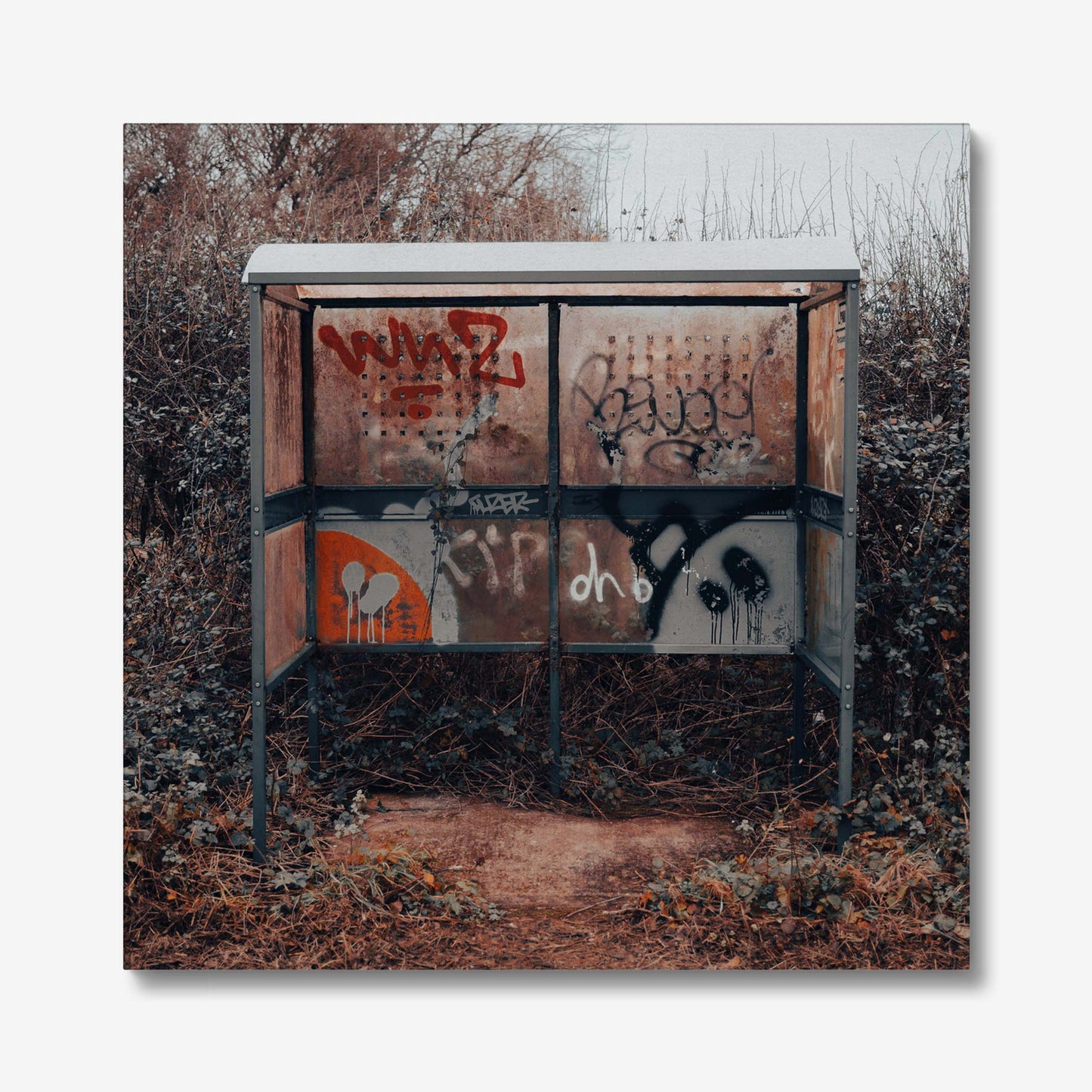 Rural Rebellion Canvas