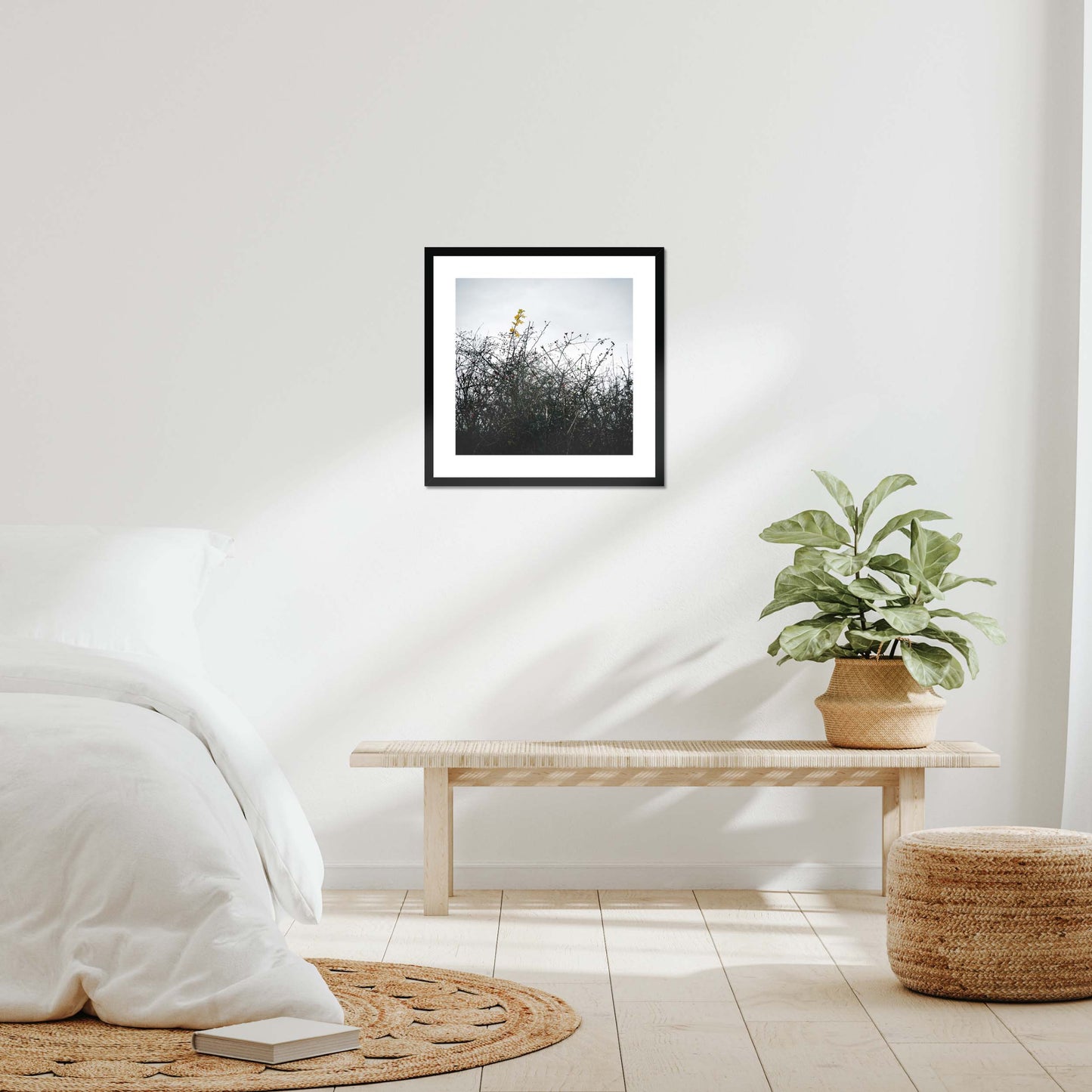 Vivid Harmony Framed & Mounted Print