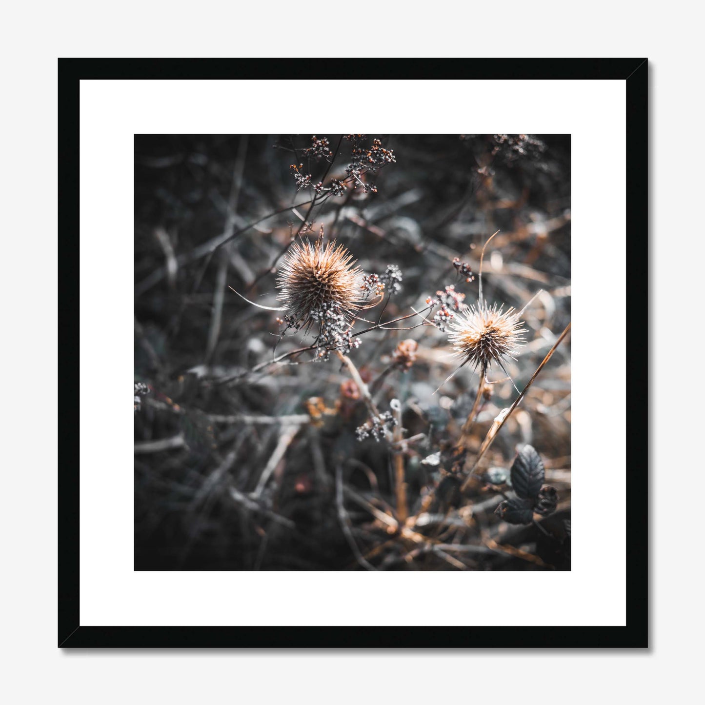 Wild Harmony Framed & Mounted Print