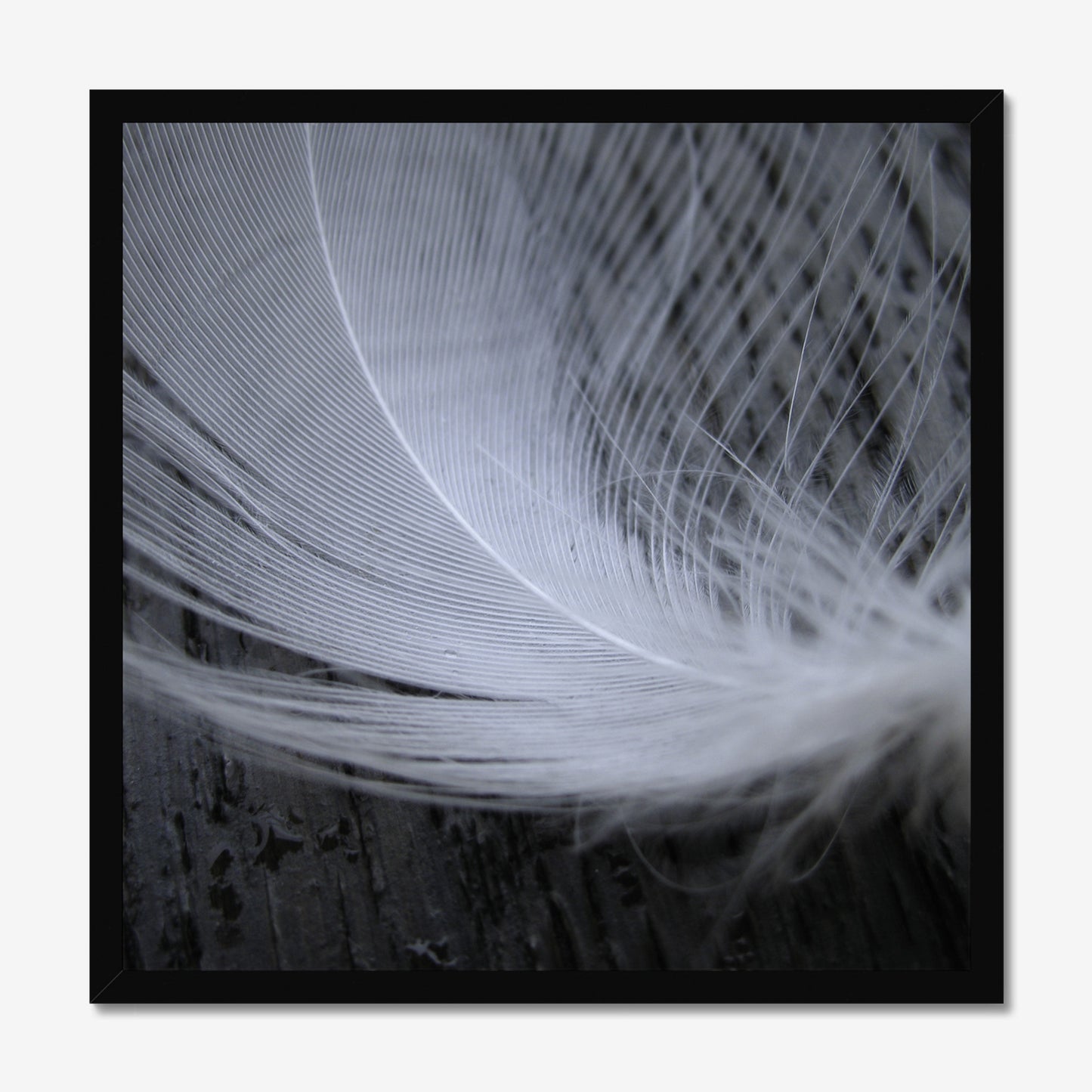 Serenity Framed Print