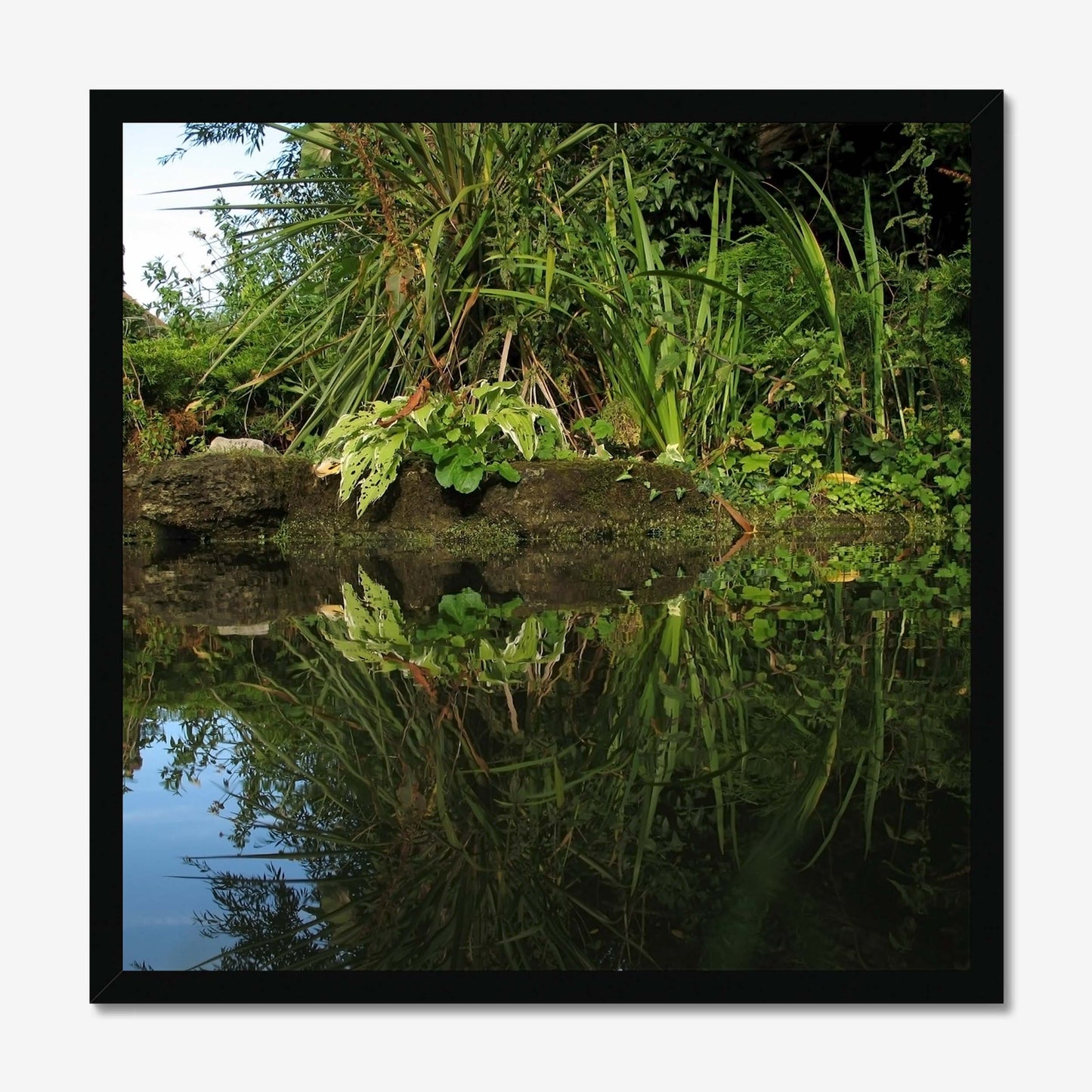 Emerald Embrace Framed Print