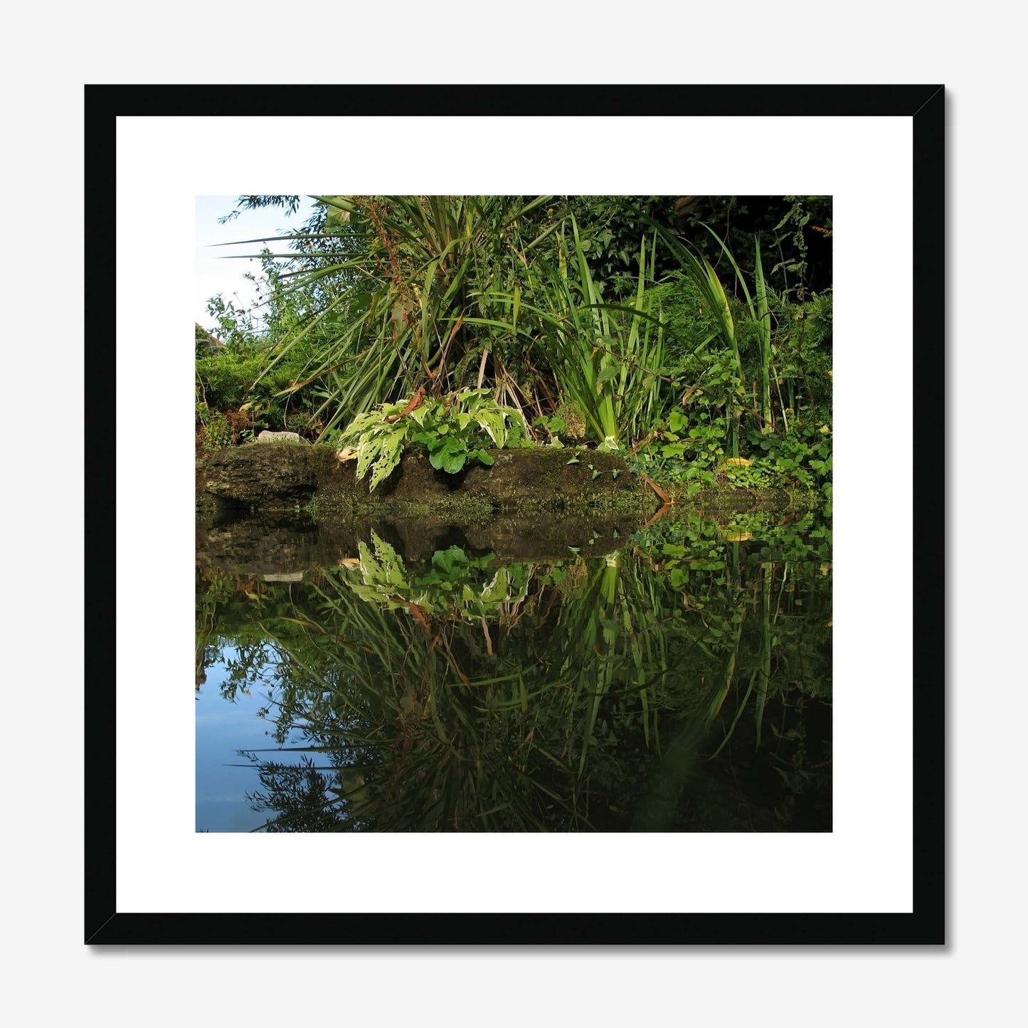 Emerald Embrace Framed & Mounted Print