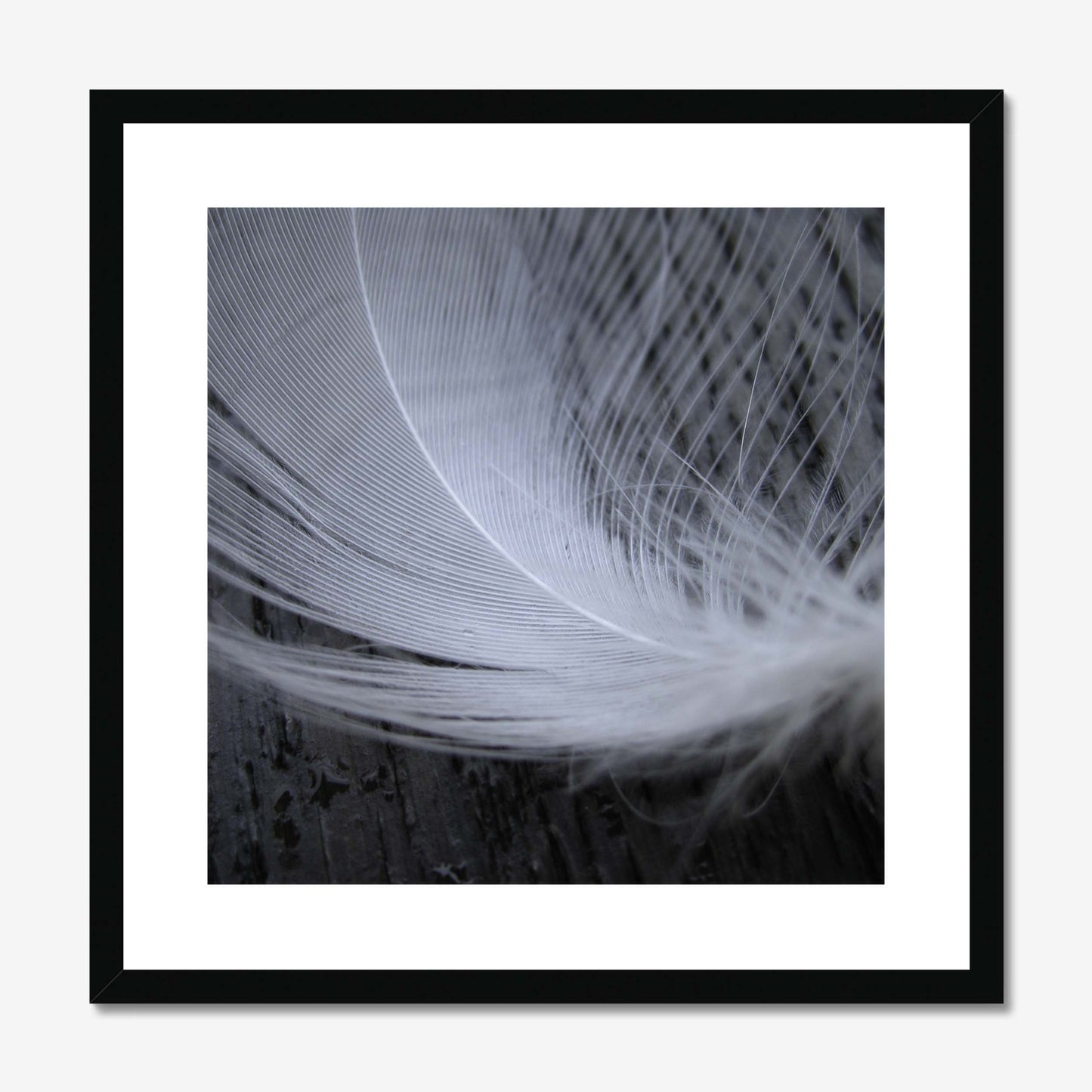 Serenity Framed & Mounted Print
