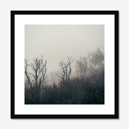 Fading Echoes Framed & Mounted Print