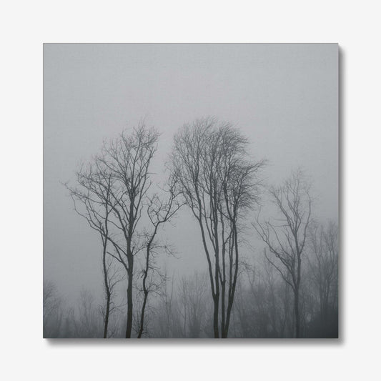 Lost in the Mist Canvas