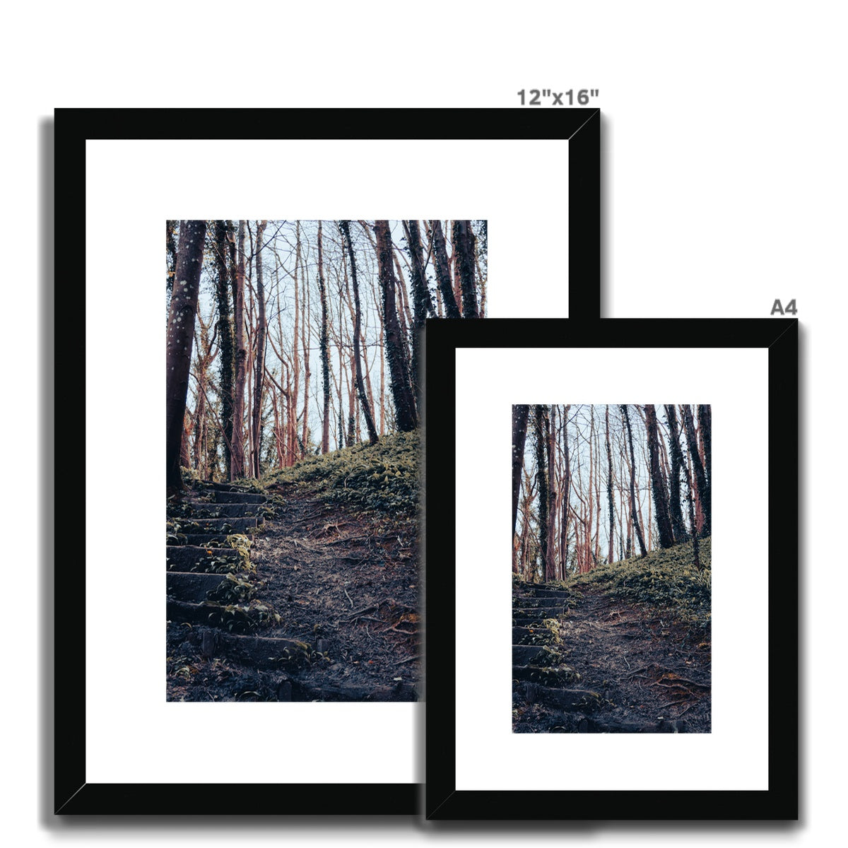 Green Escape Framed & Mounted Print