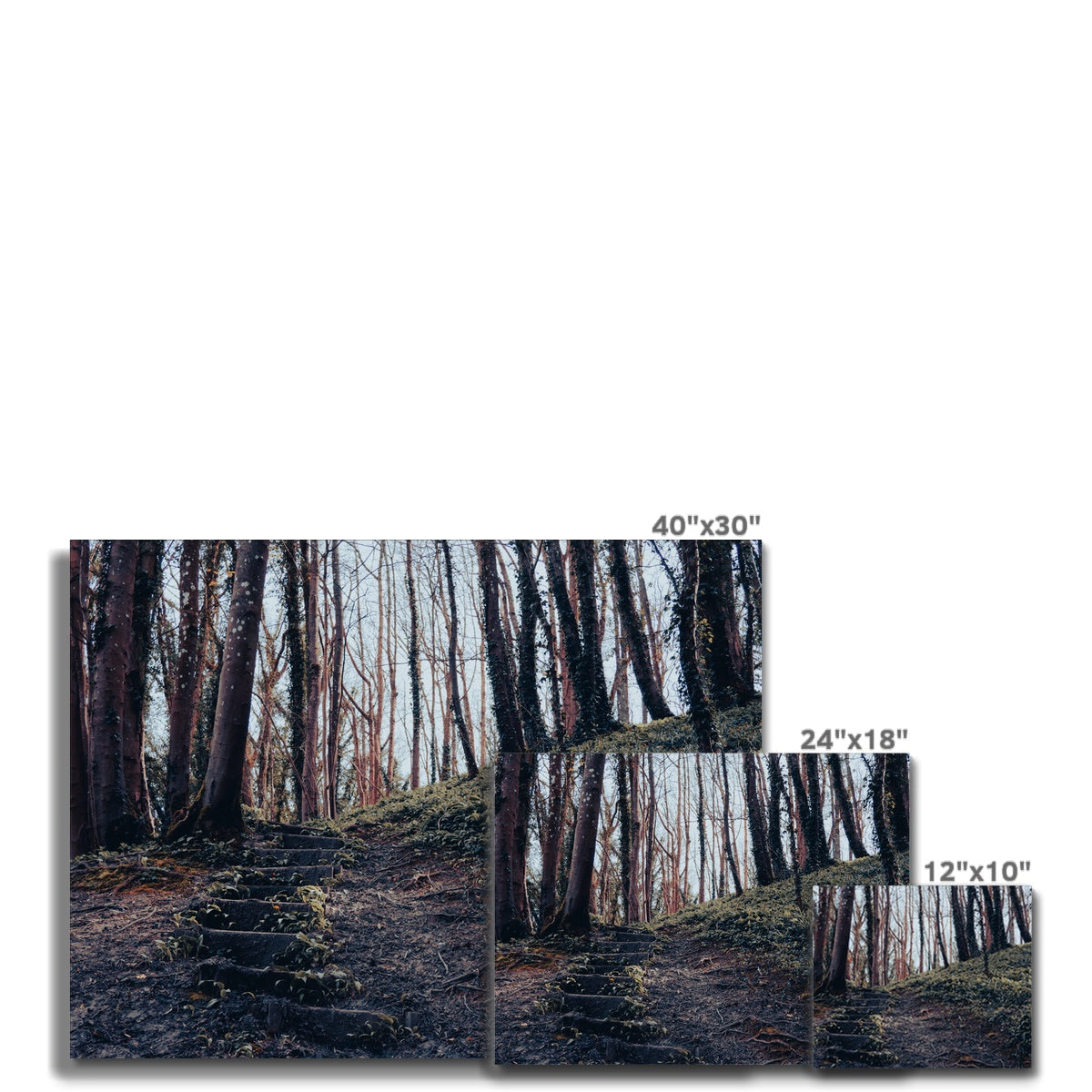 Green Escape Canvas