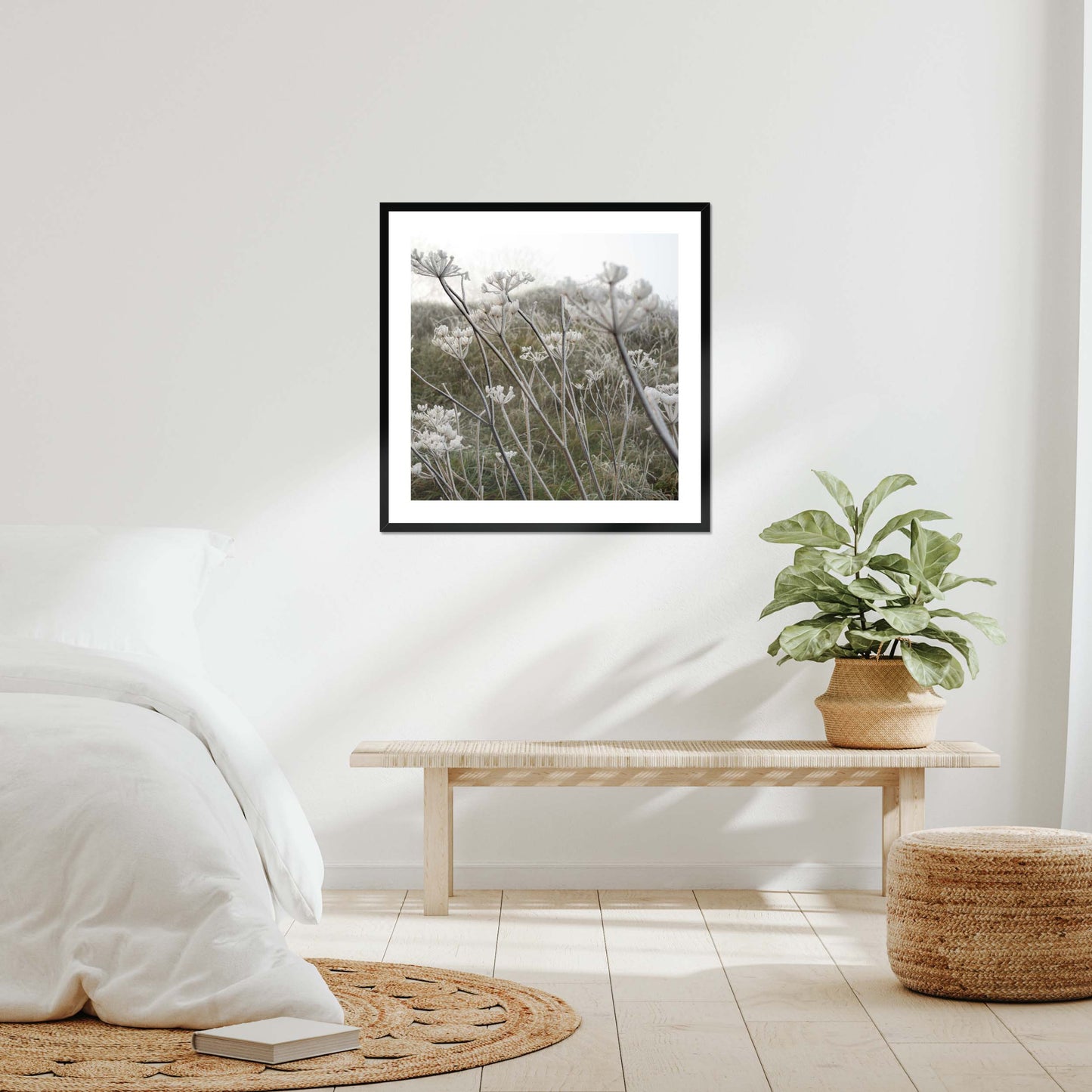 Frost Kissed Framed & Mounted Print