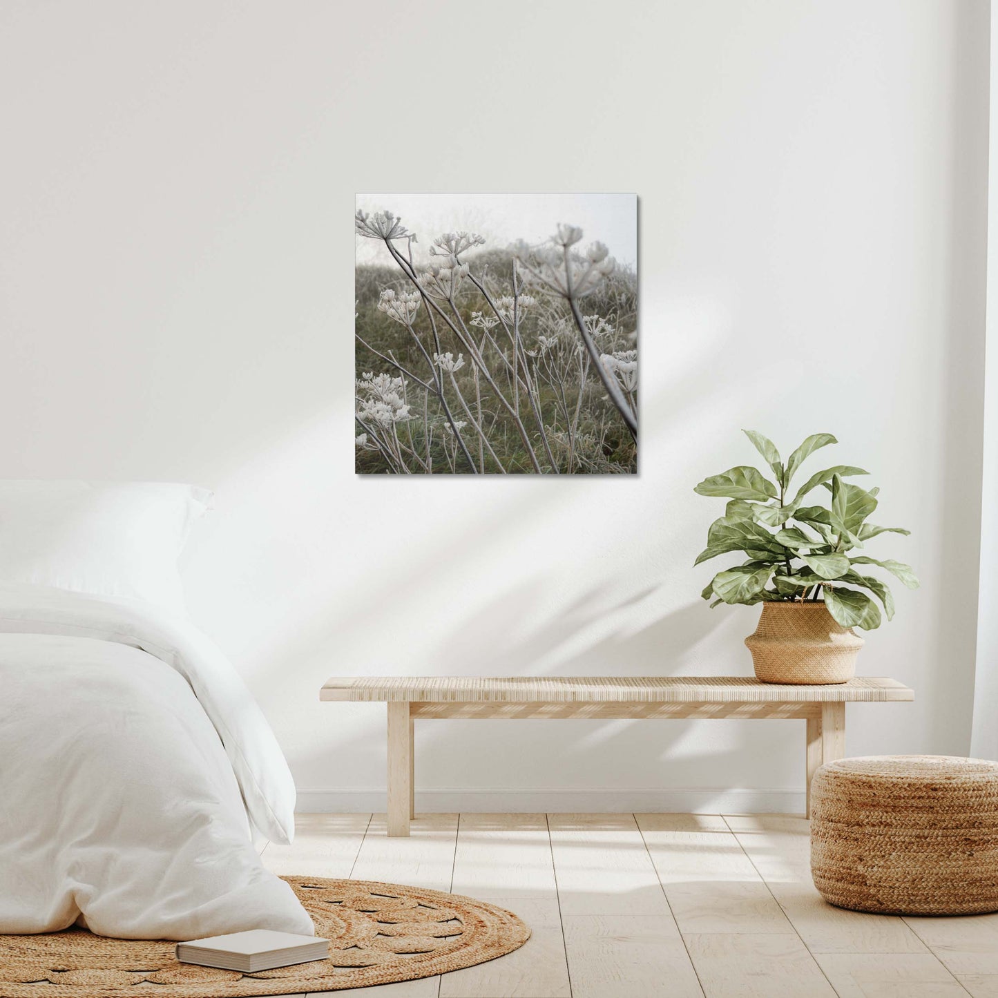 Frost Kissed Canvas