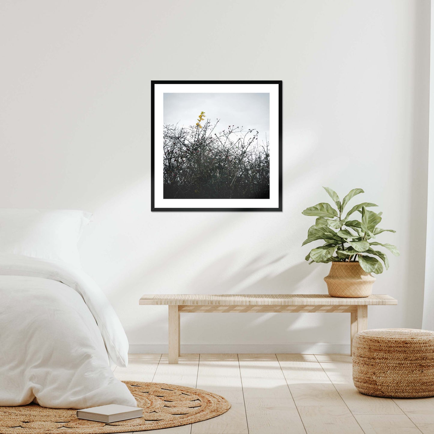 Vivid Harmony Framed & Mounted Print
