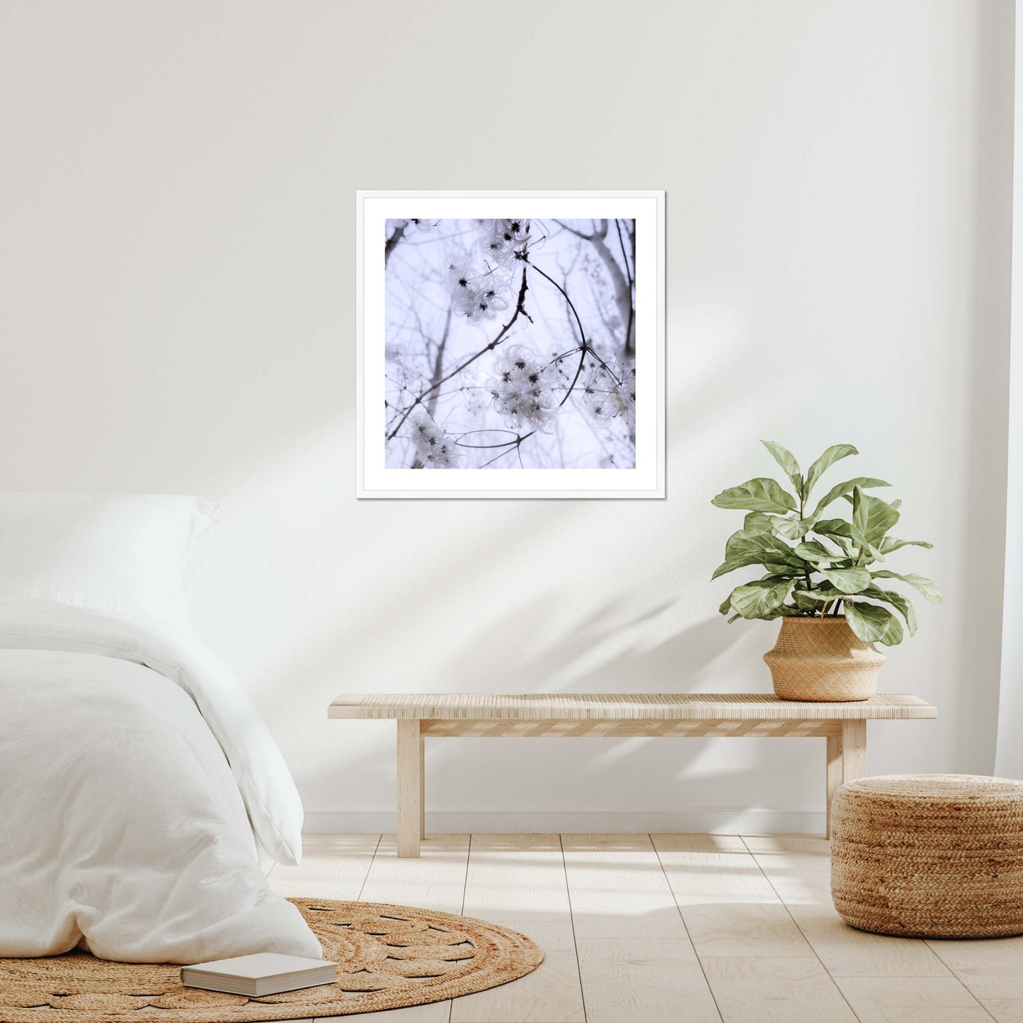 Whispers of Light Framed & Mounted Print