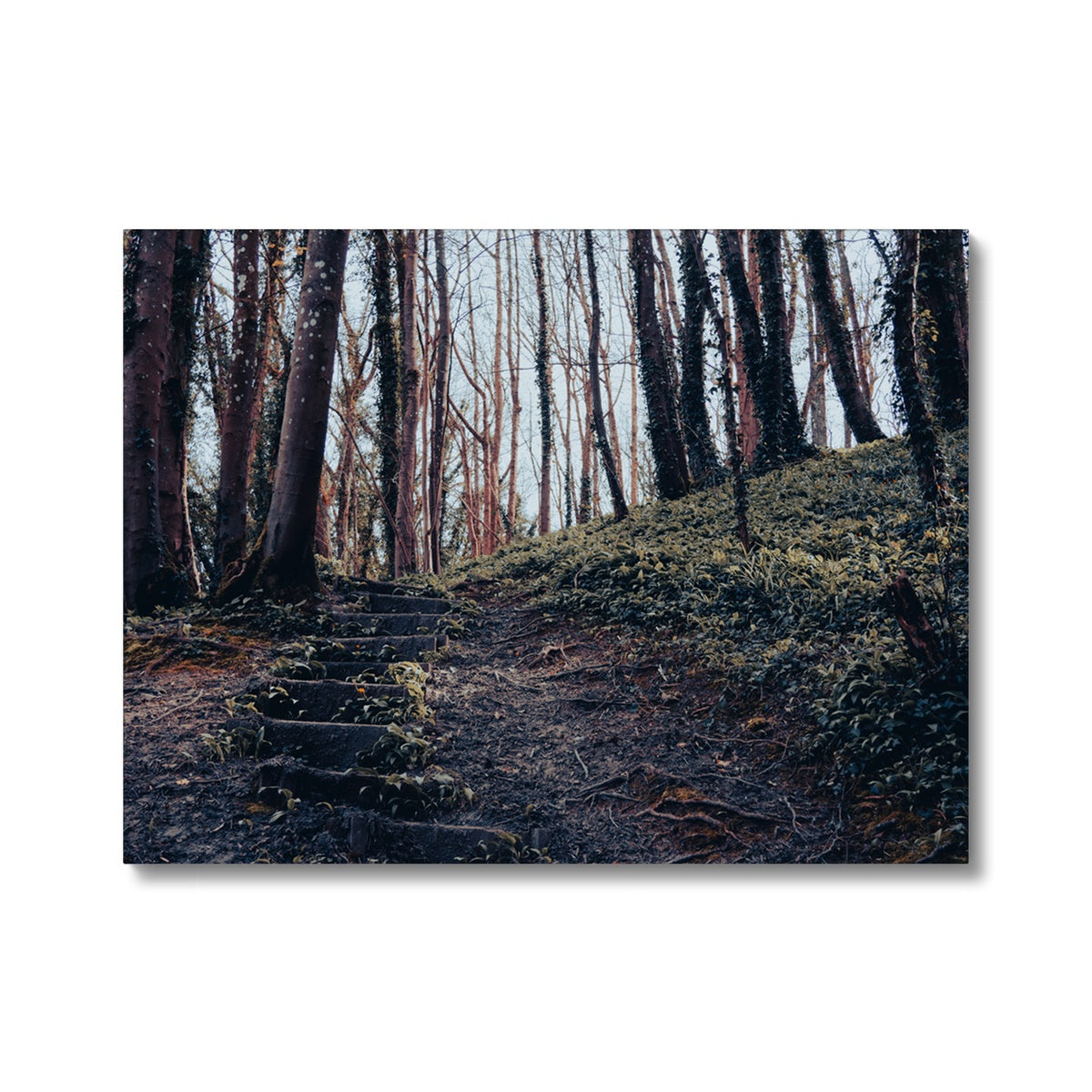 Green Escape Canvas