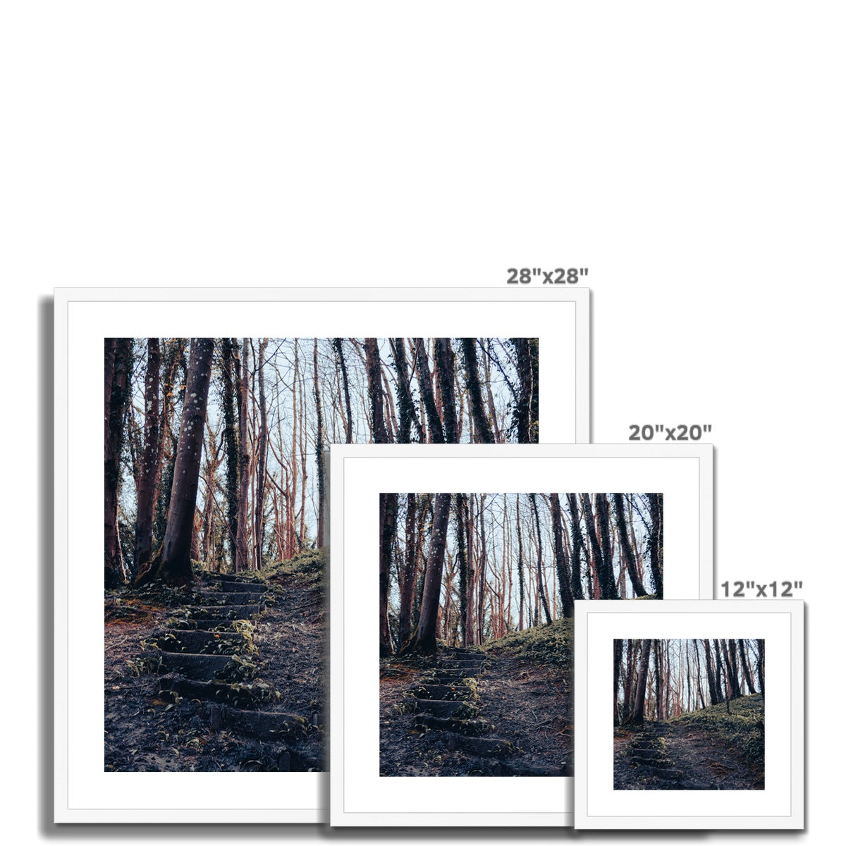 Green Escape Framed & Mounted Print