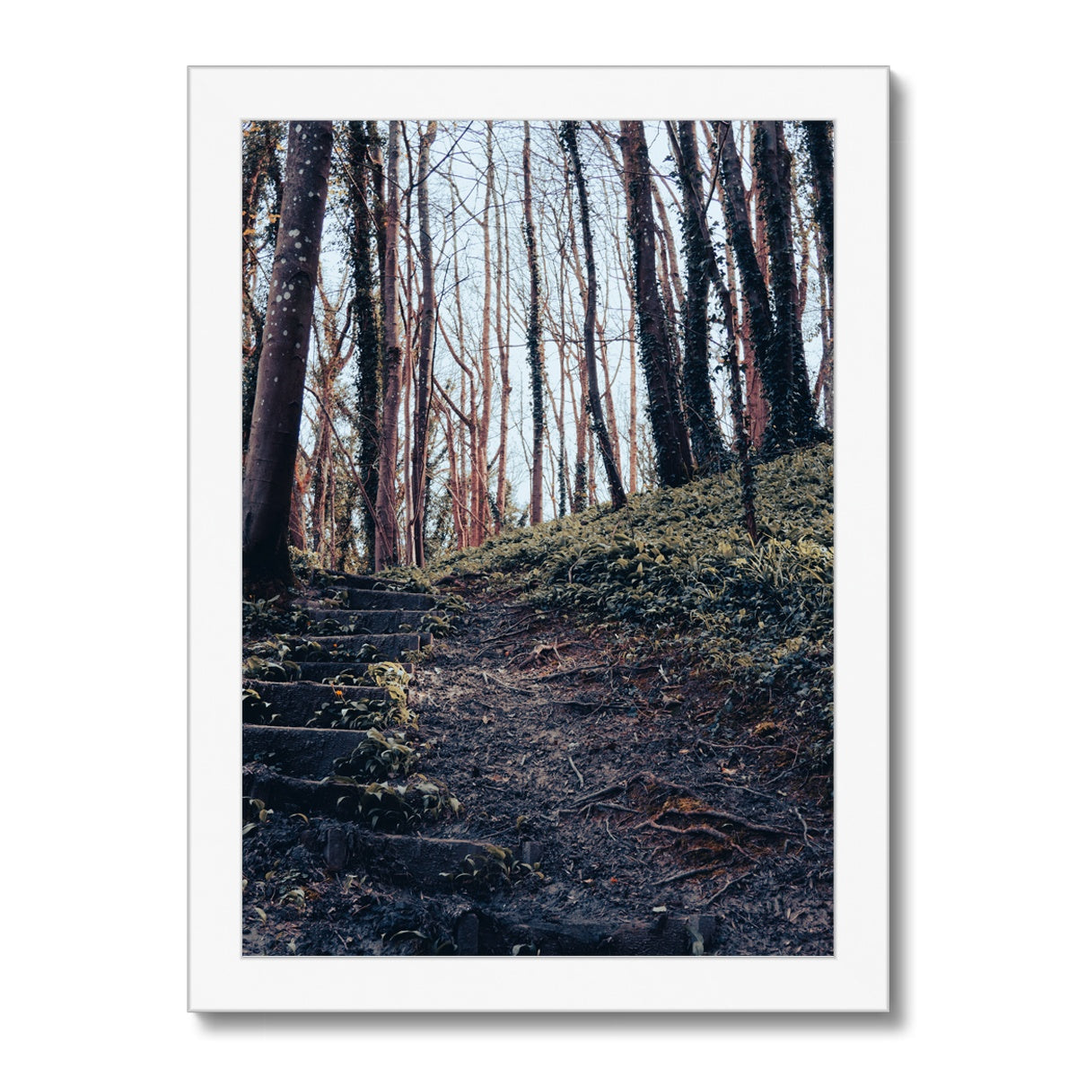 Green Escape Framed Print