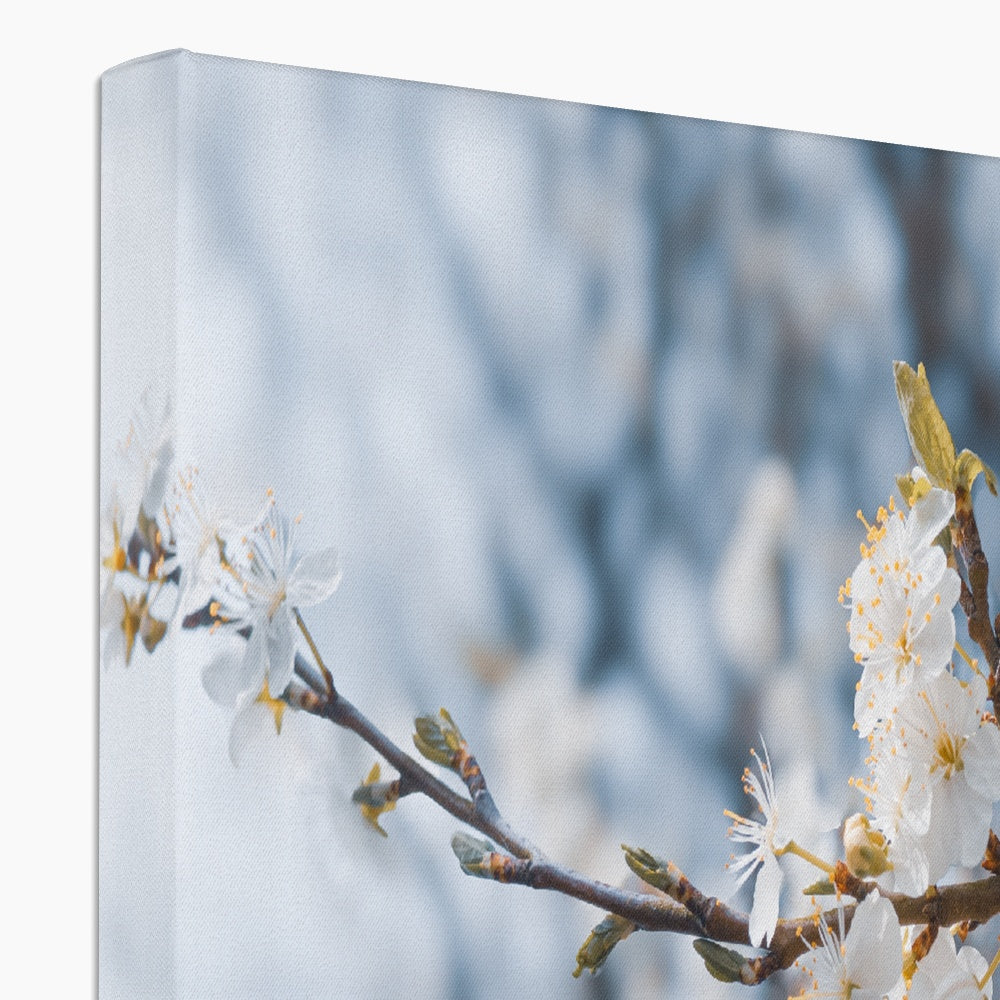 Delicate Whispers Canvas
