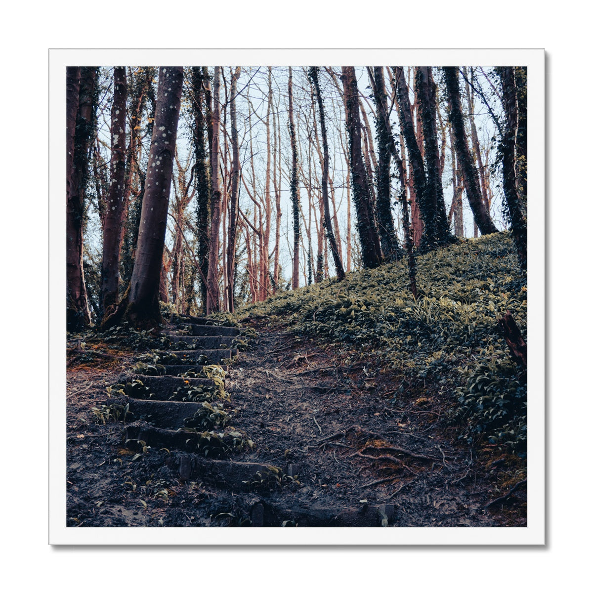 Green Escape Framed Print