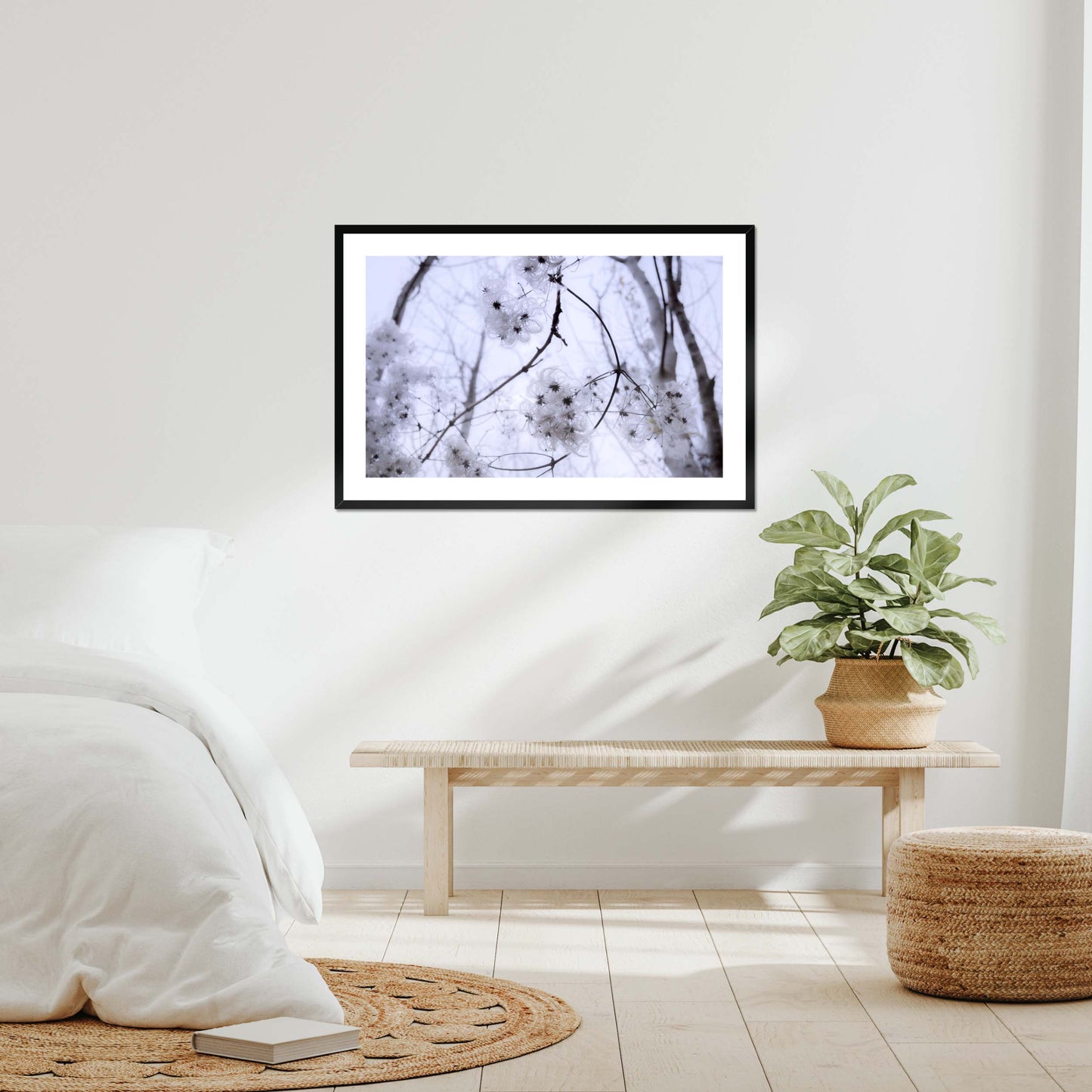 Whispers of Light Framed & Mounted Print