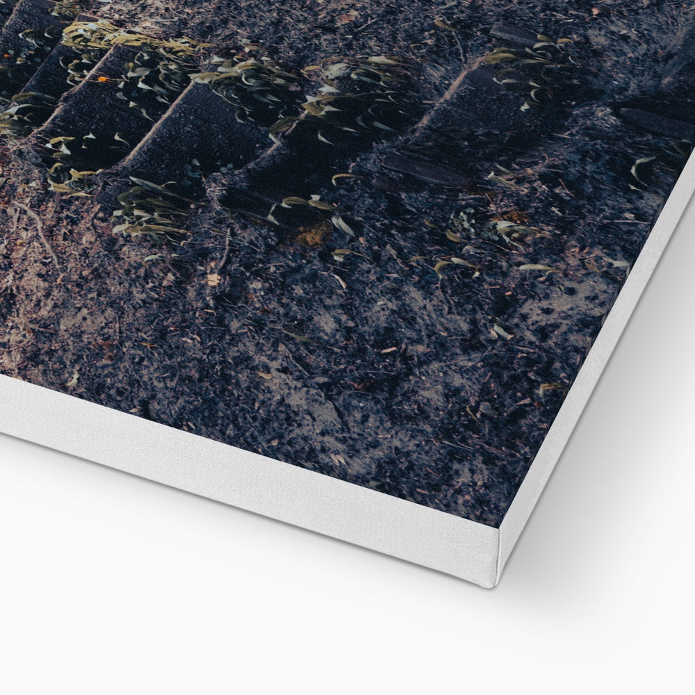 Green Escape Canvas