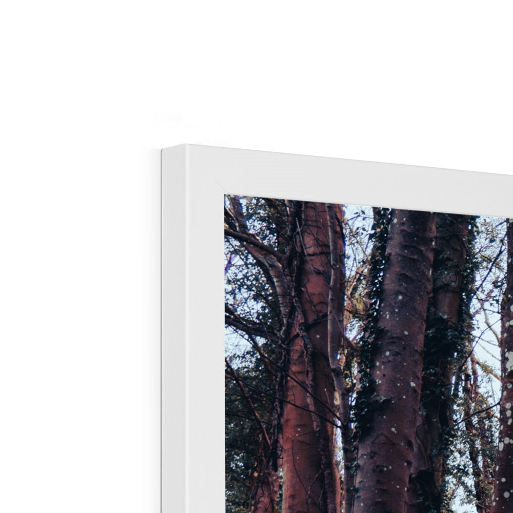 Green Escape Framed Print