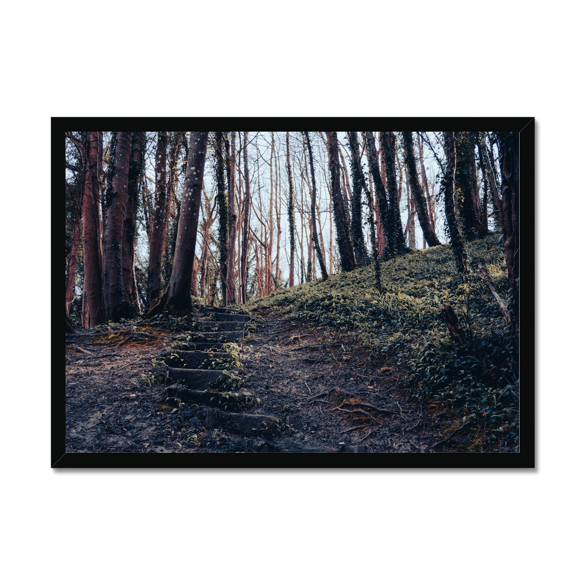 Green Escape Framed Print
