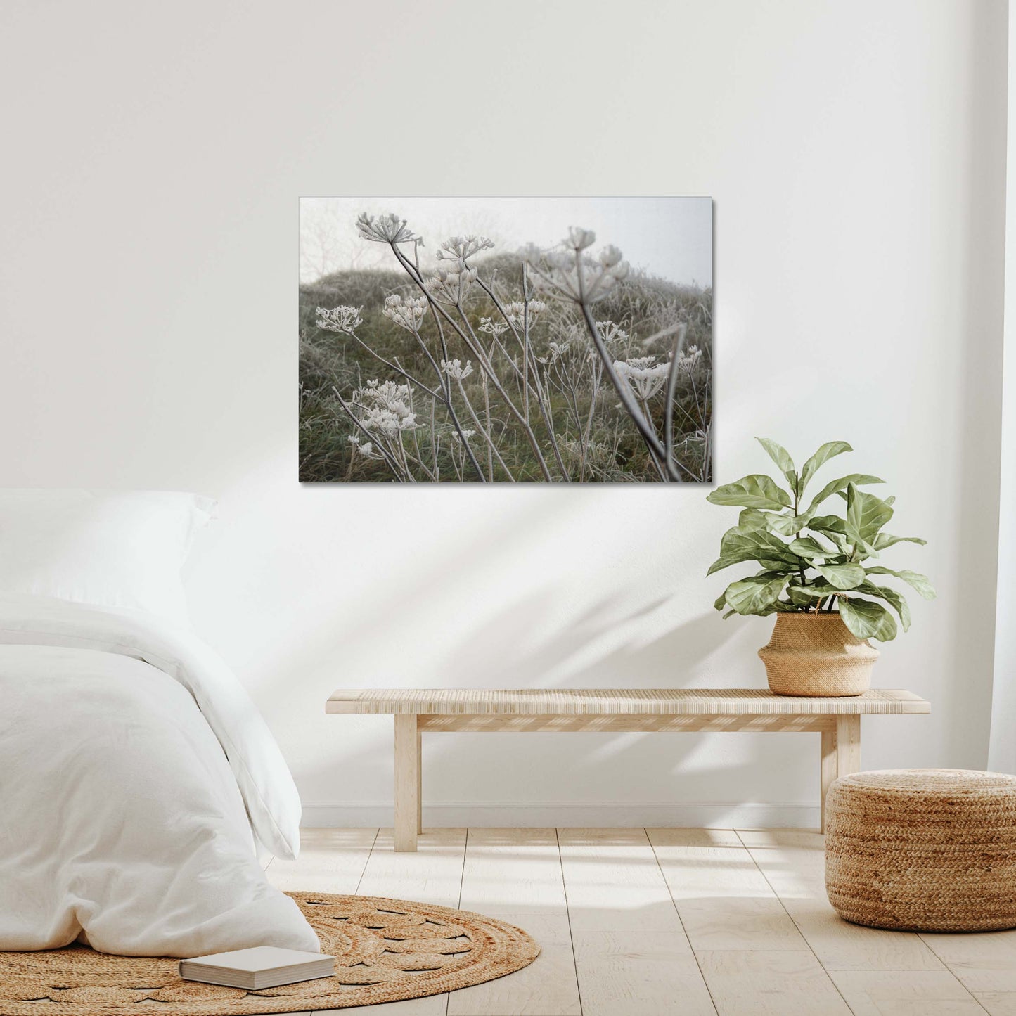 Frost Kissed Canvas