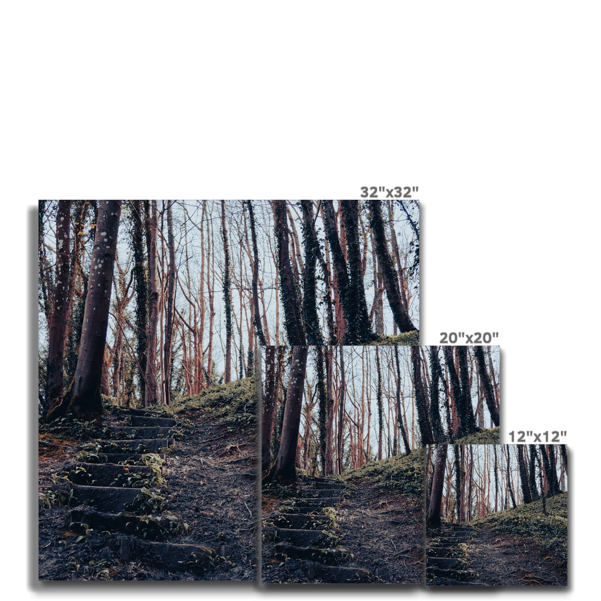 Green Escape Canvas