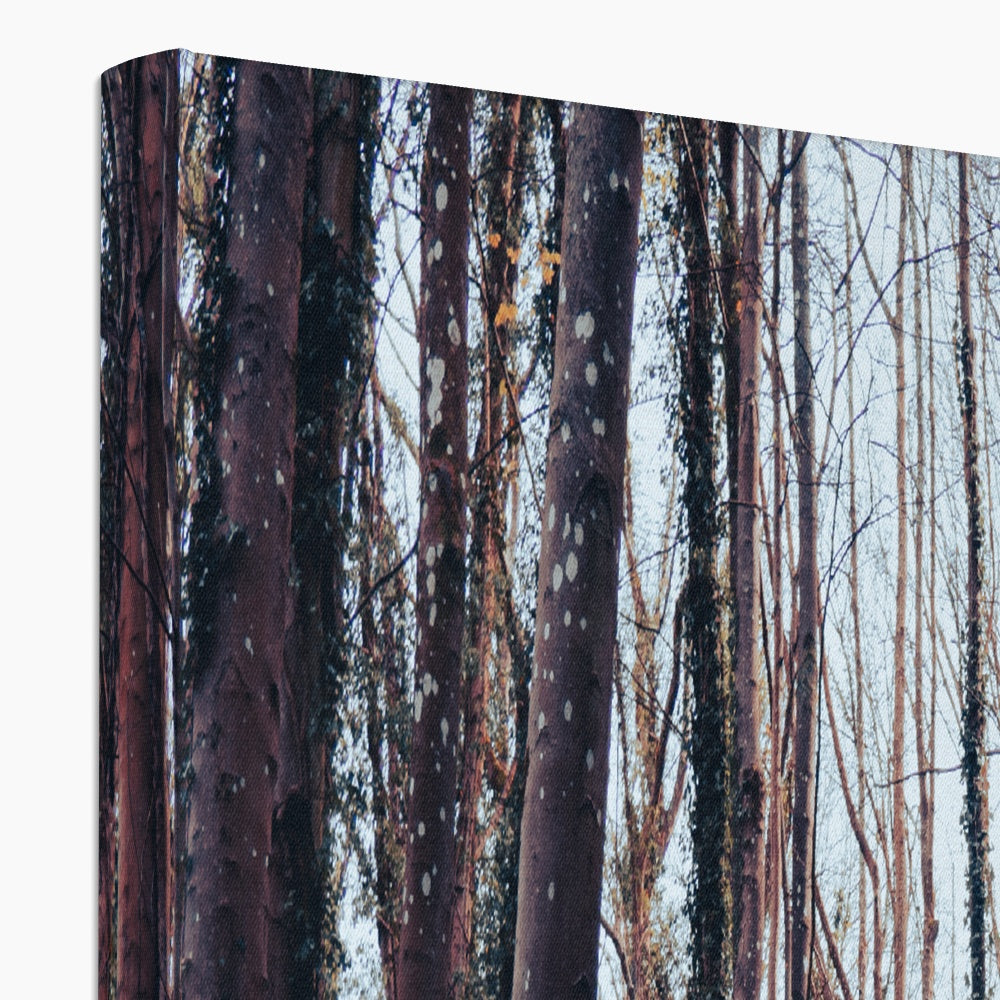 Green Escape Canvas