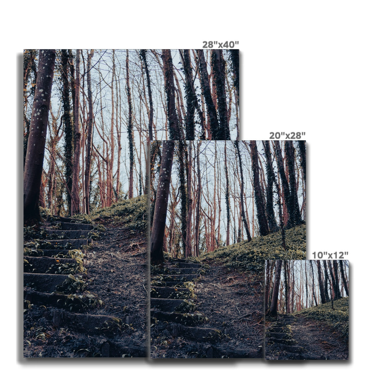 Green Escape Canvas