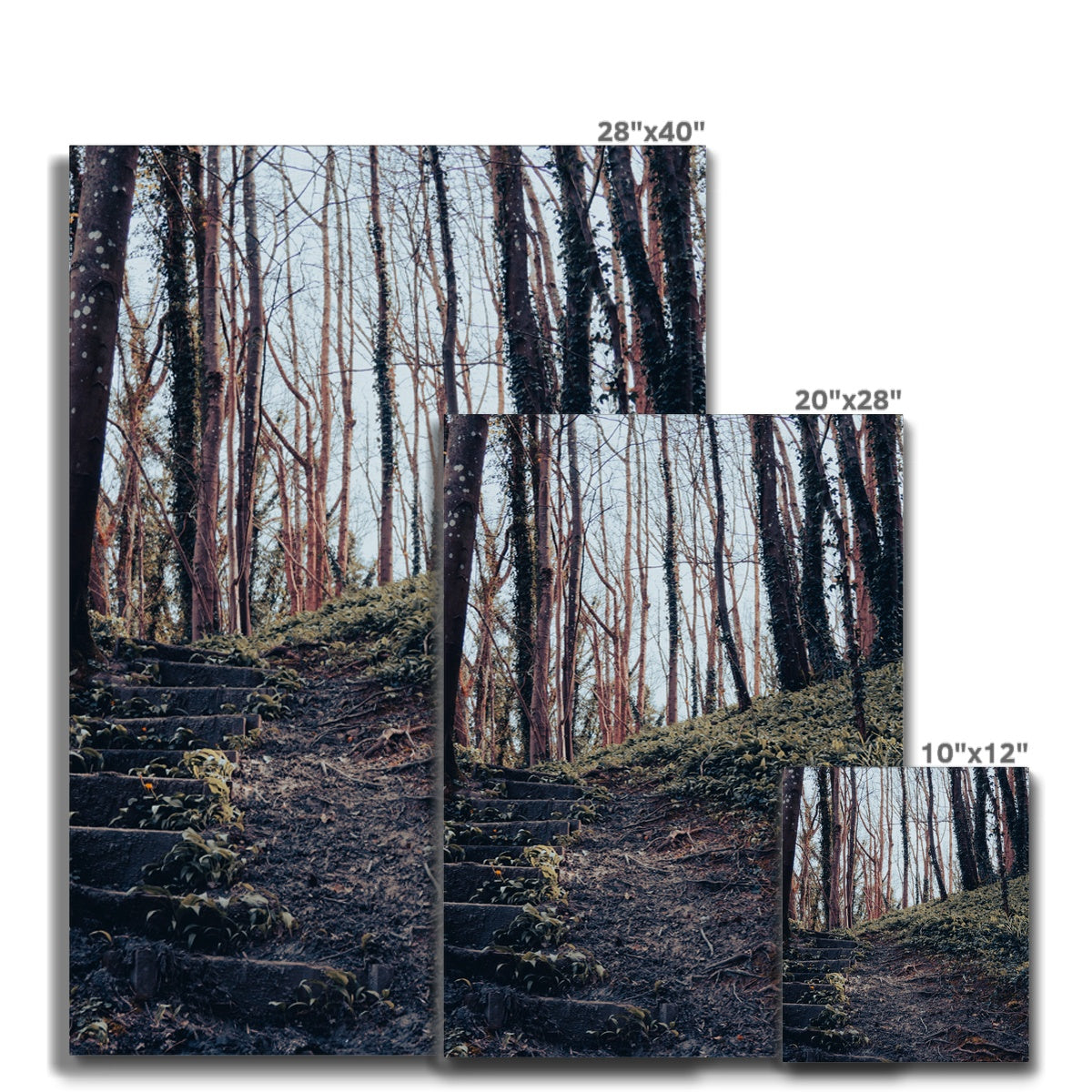 Green Escape Canvas