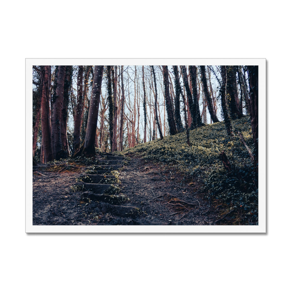 Green Escape Framed Print